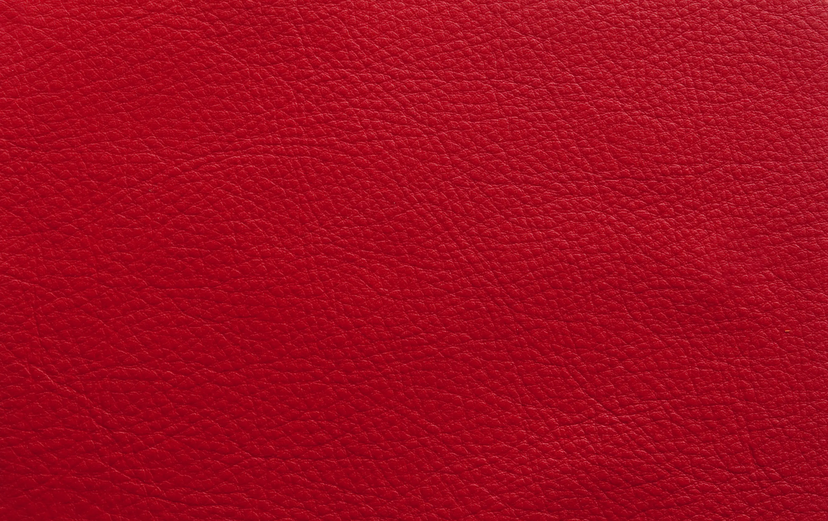 Elmo - Elmosoft 55002