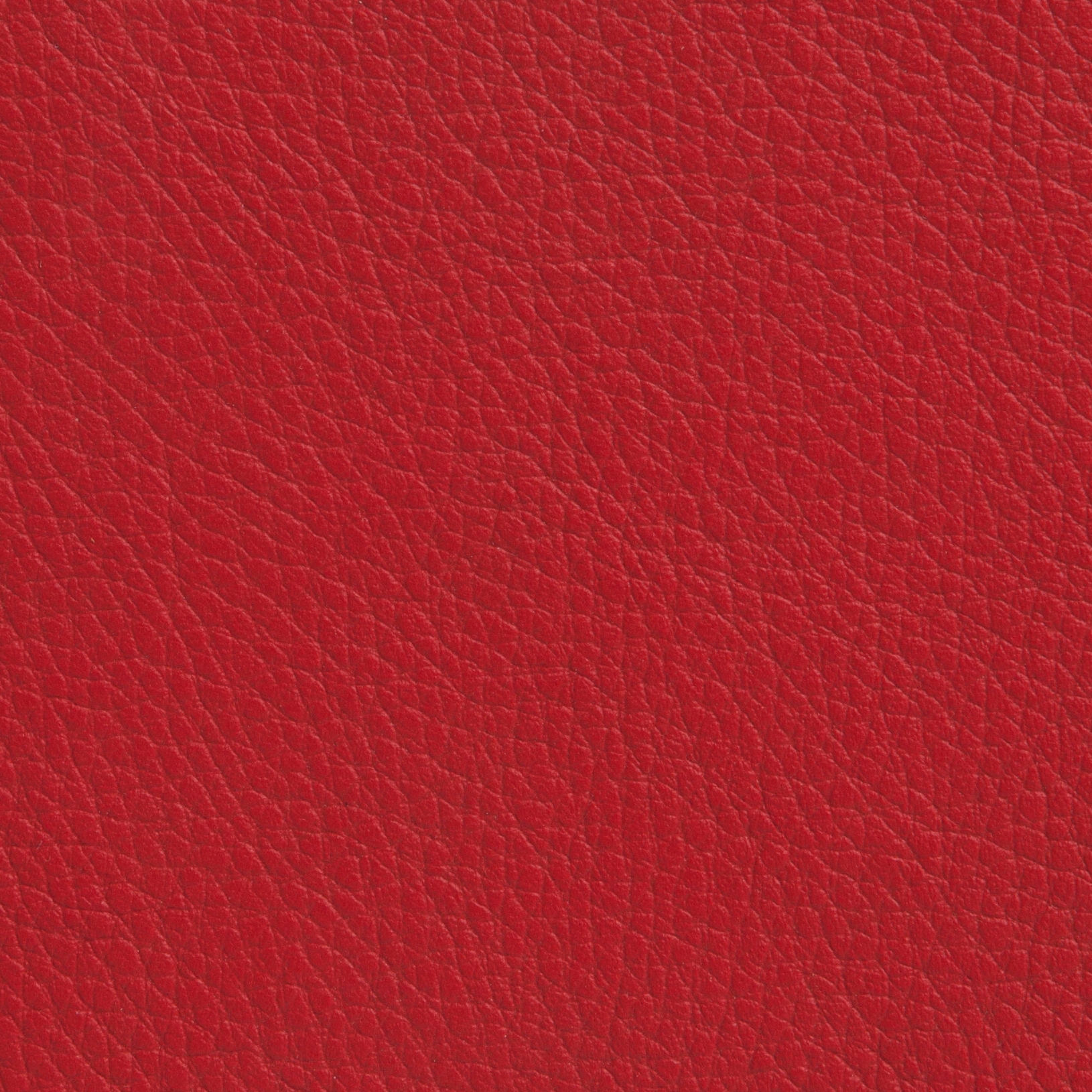 Elmoline 55013