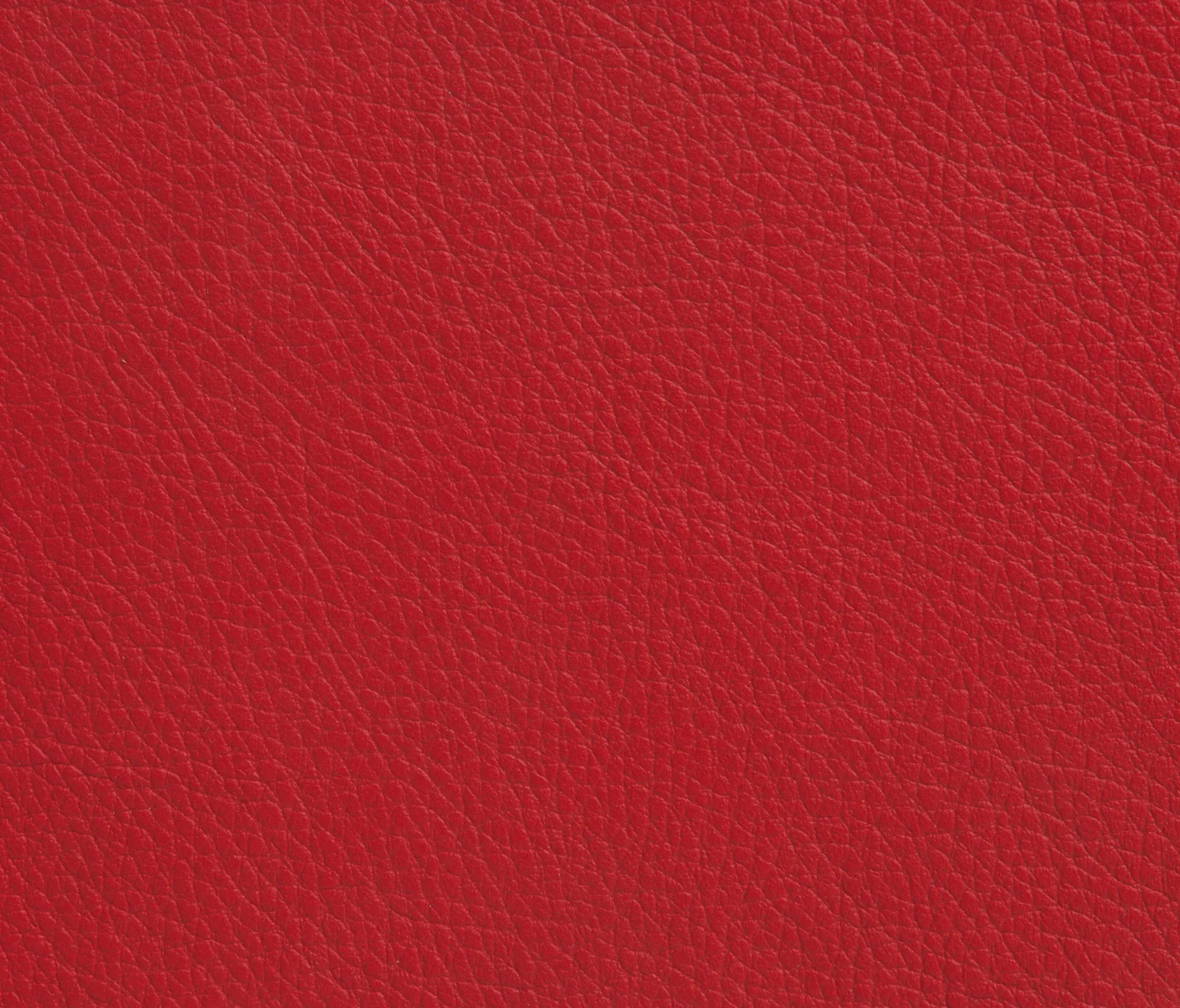 Elmo - Elmoline 55013