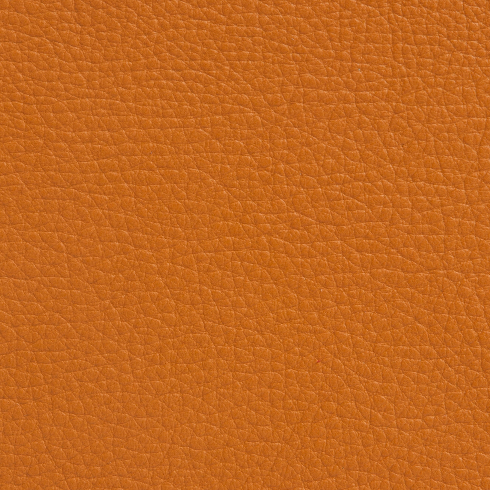Elmoline 54004