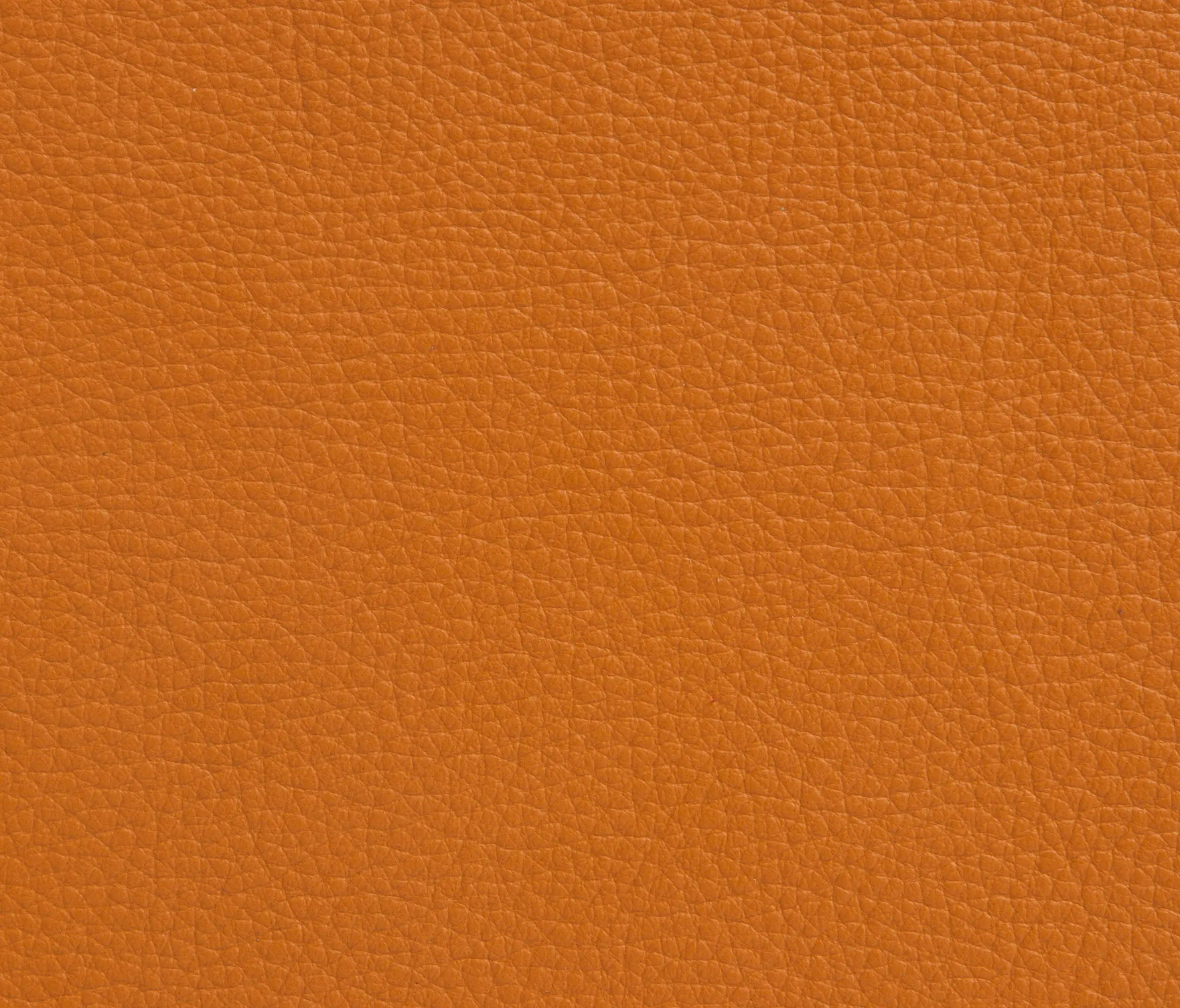 Elmo - Elmoline 54004