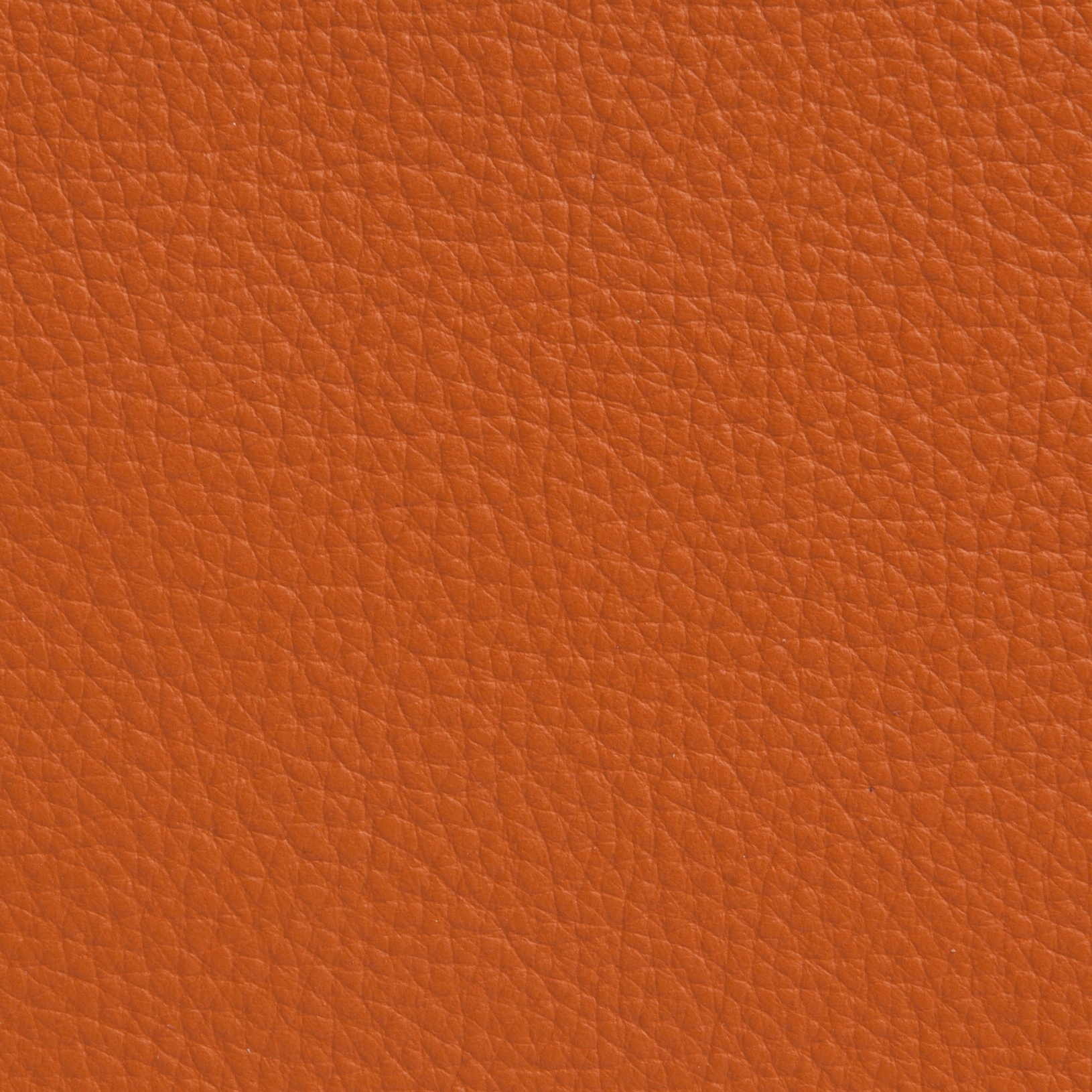 Elmoline 53003