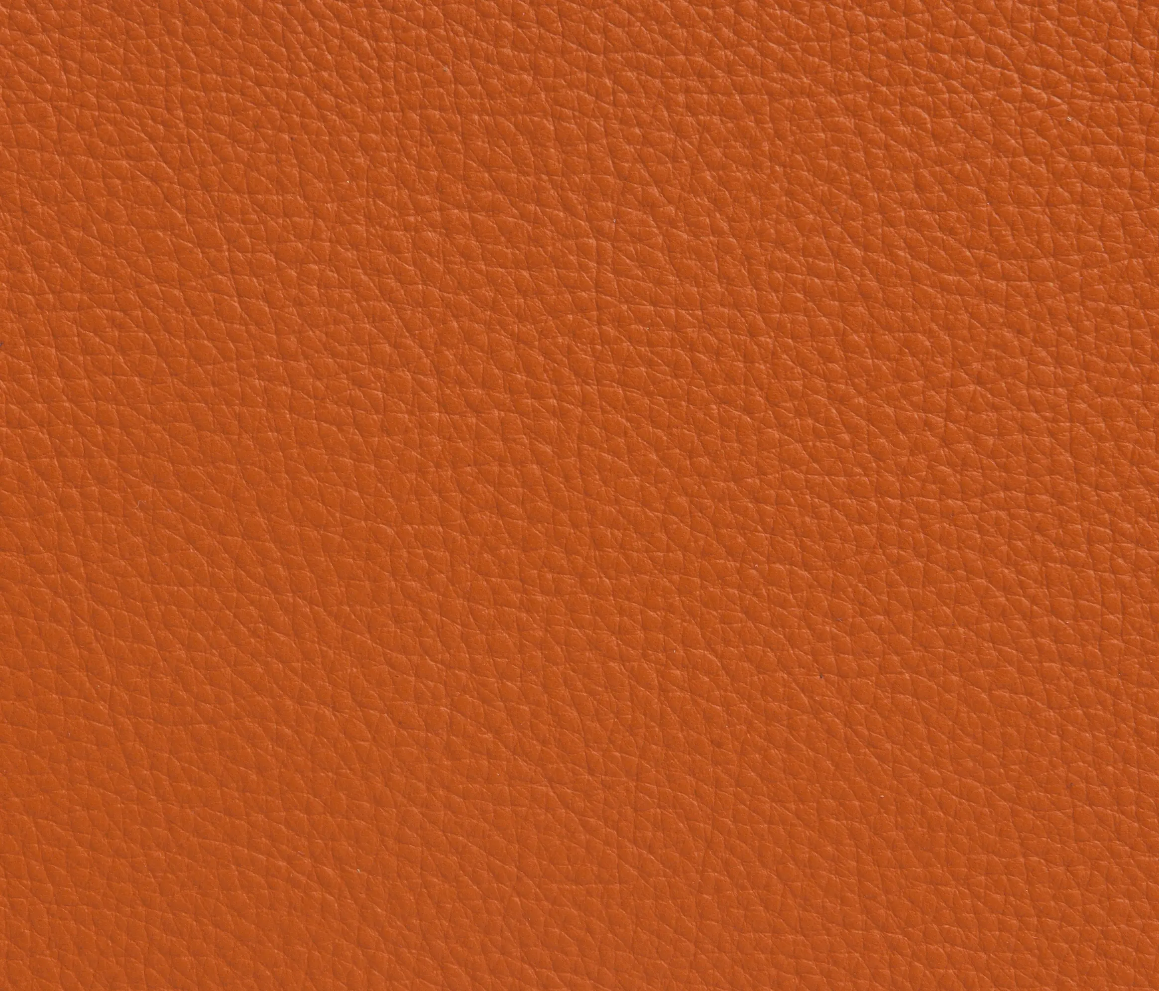 Elmo - Elmoline 53003