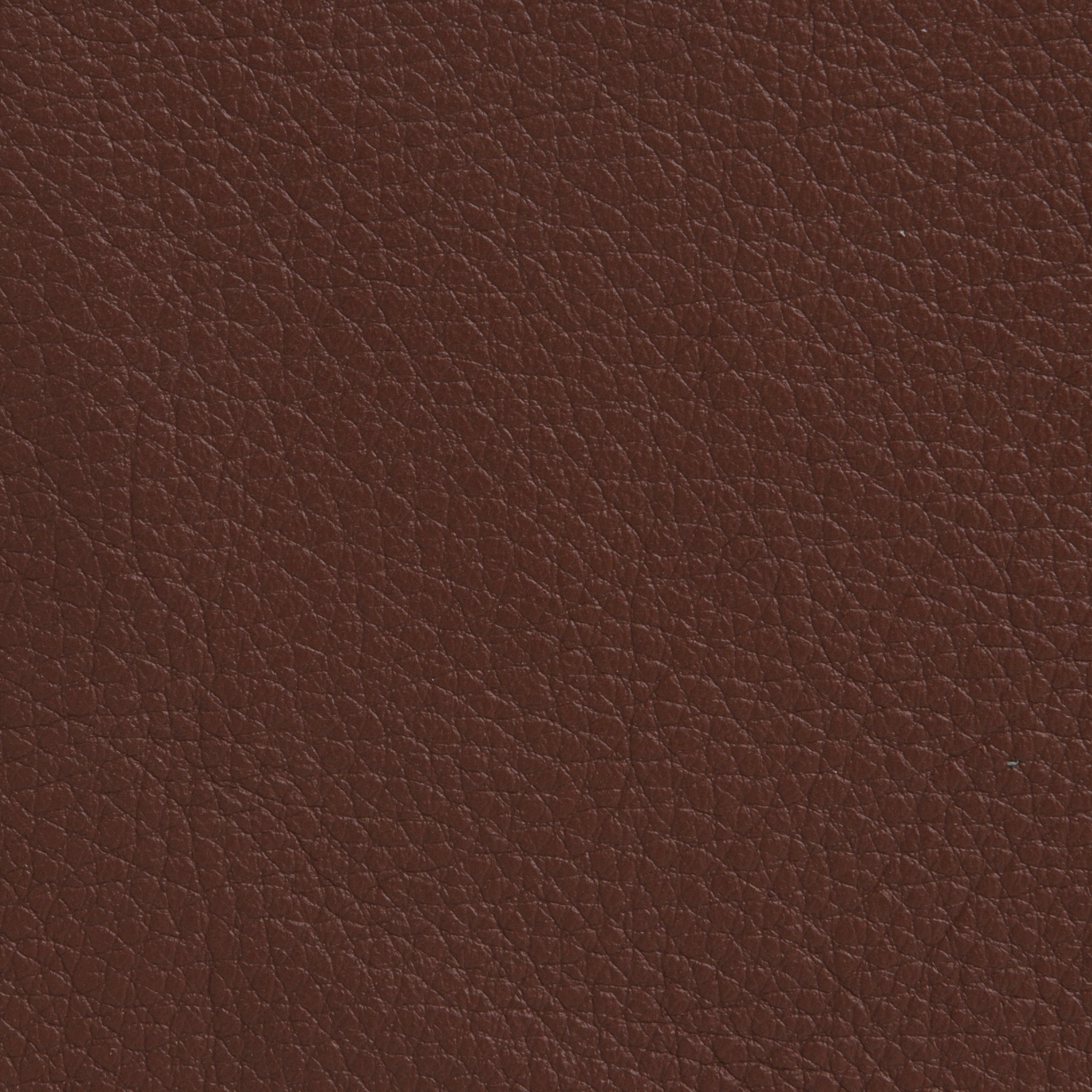 Elmoline 33023