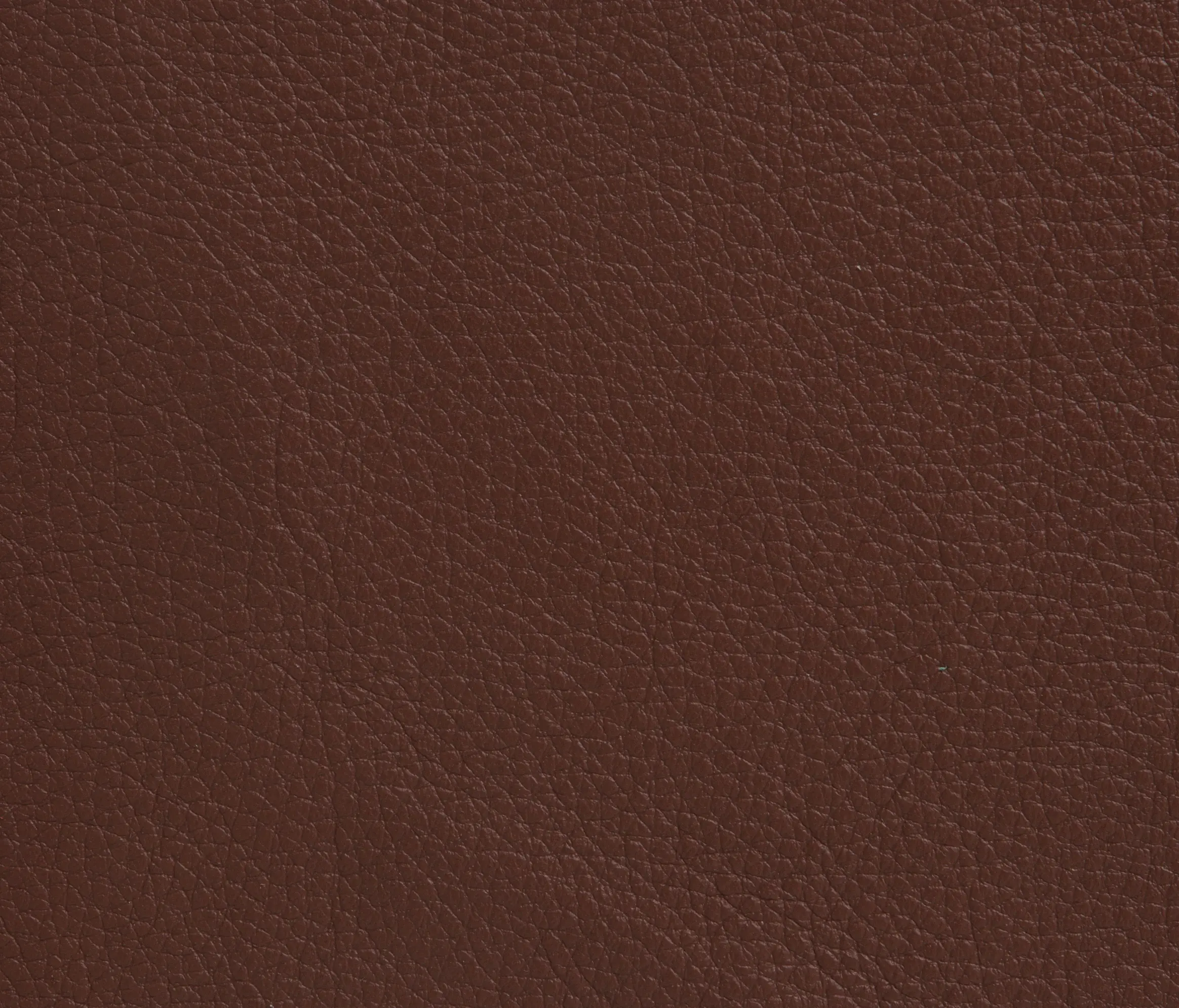 Elmo - Elmoline 33023