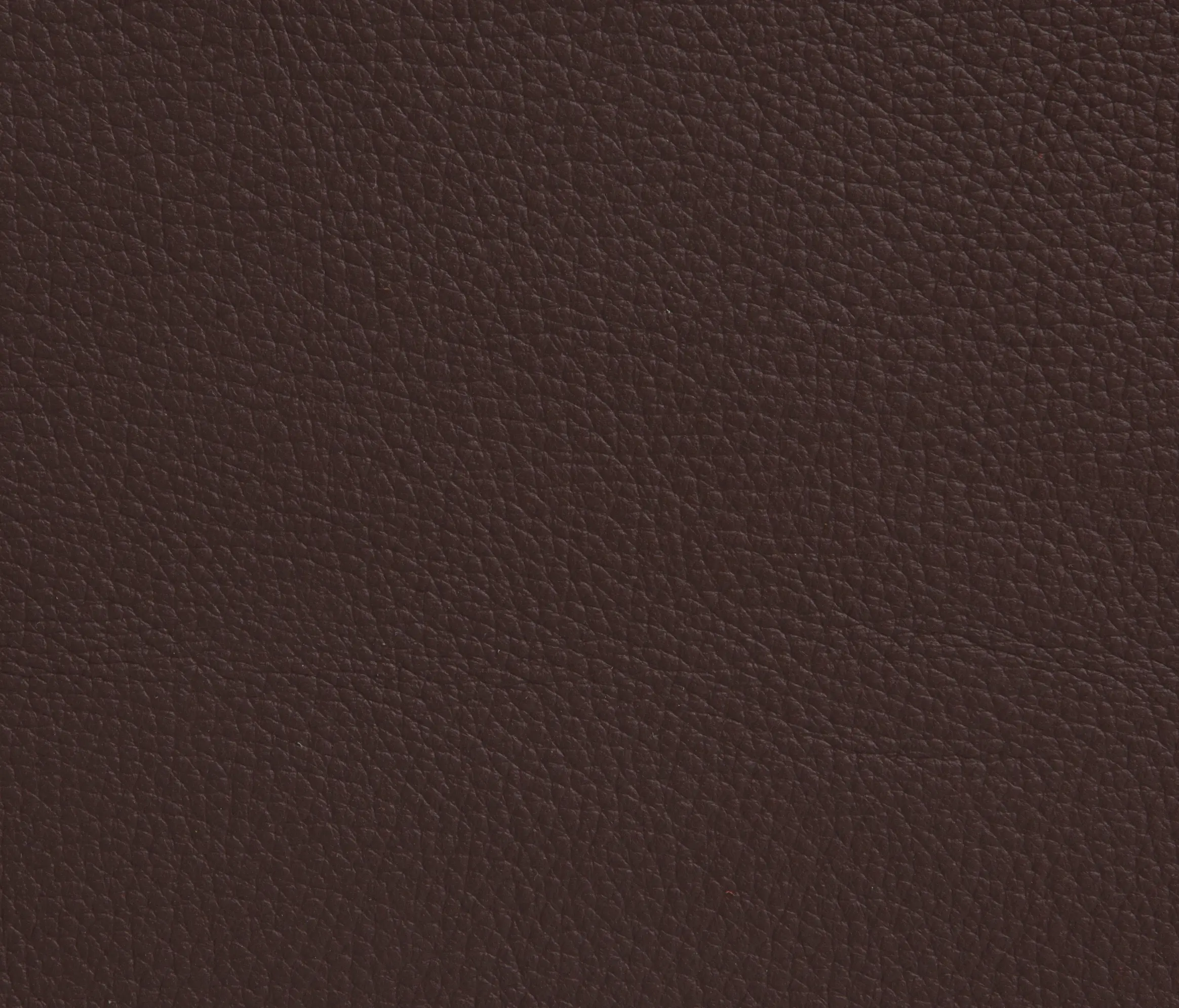 Elmo - Elmoline 93011