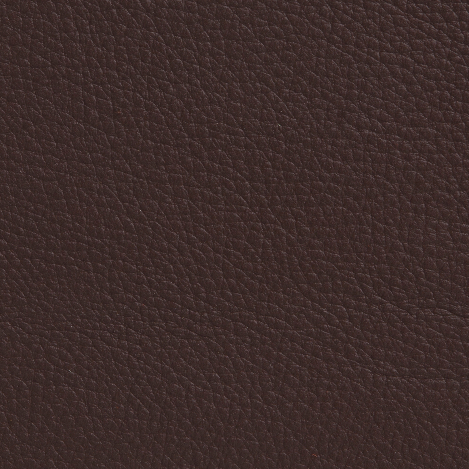 Elmoline 93011