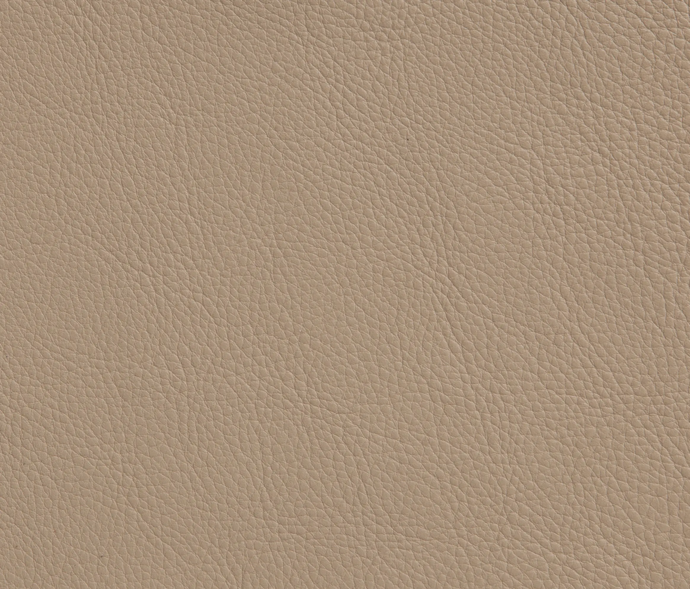 Elmo - Elmotech 12013