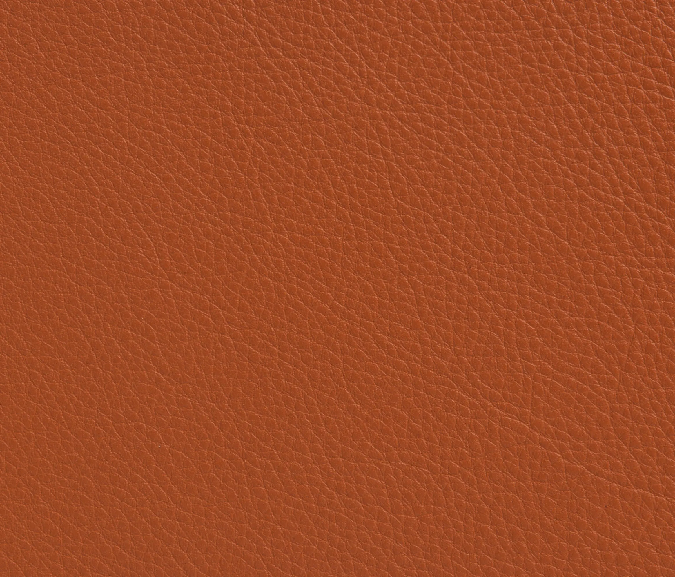 Elmo - Elmotech 43006