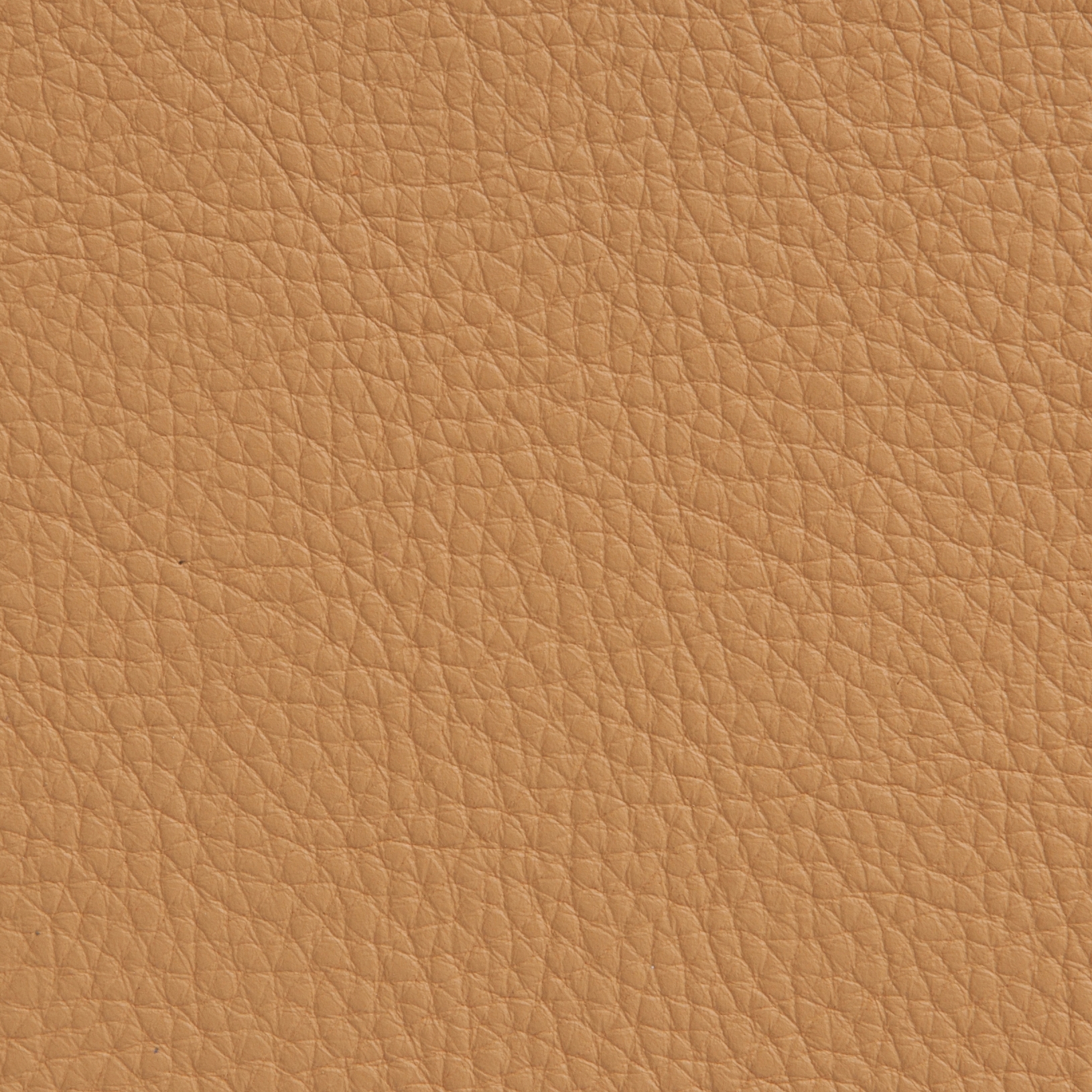 Elmotech 44002