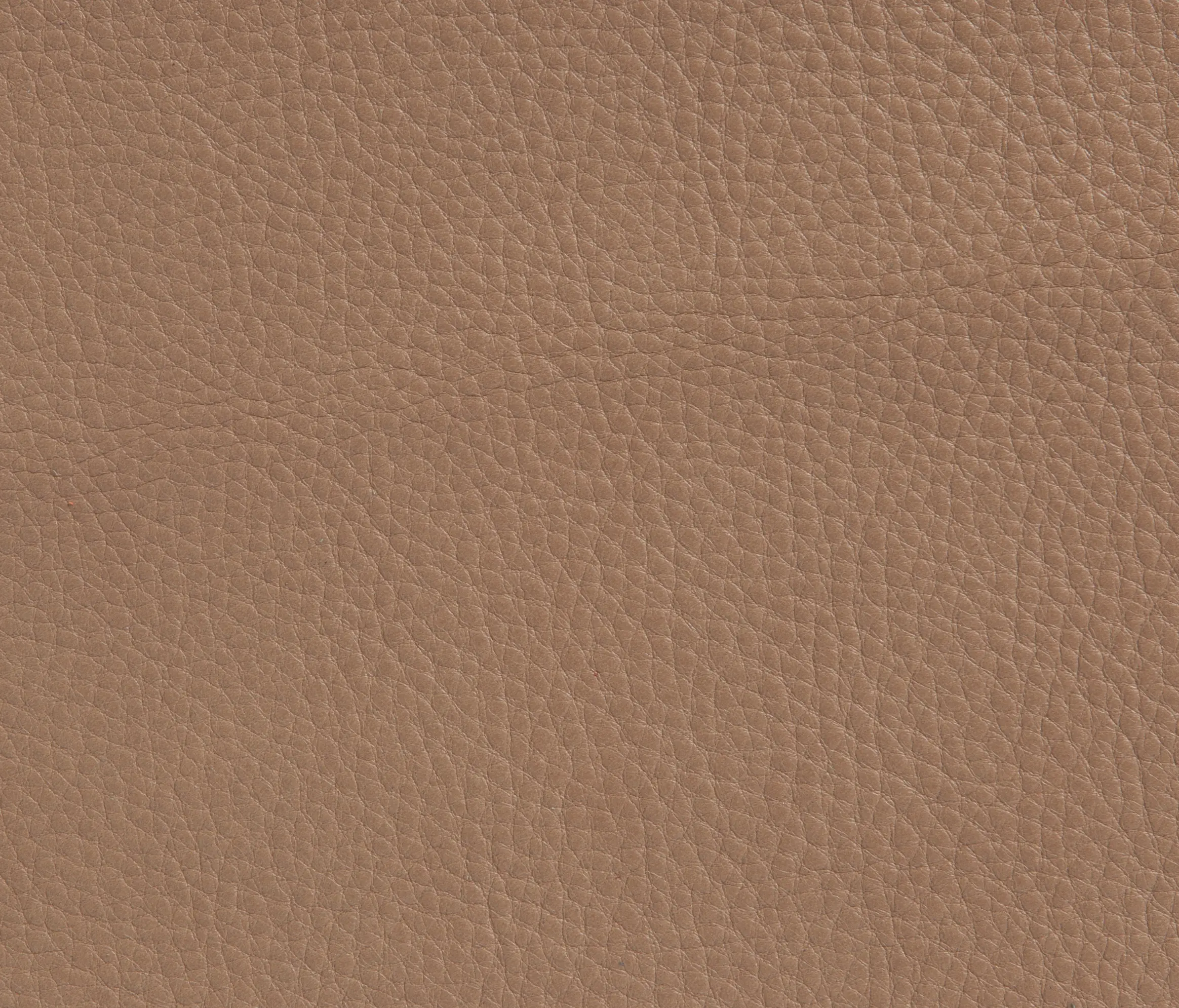 Elmo - Elmobaltique 12036