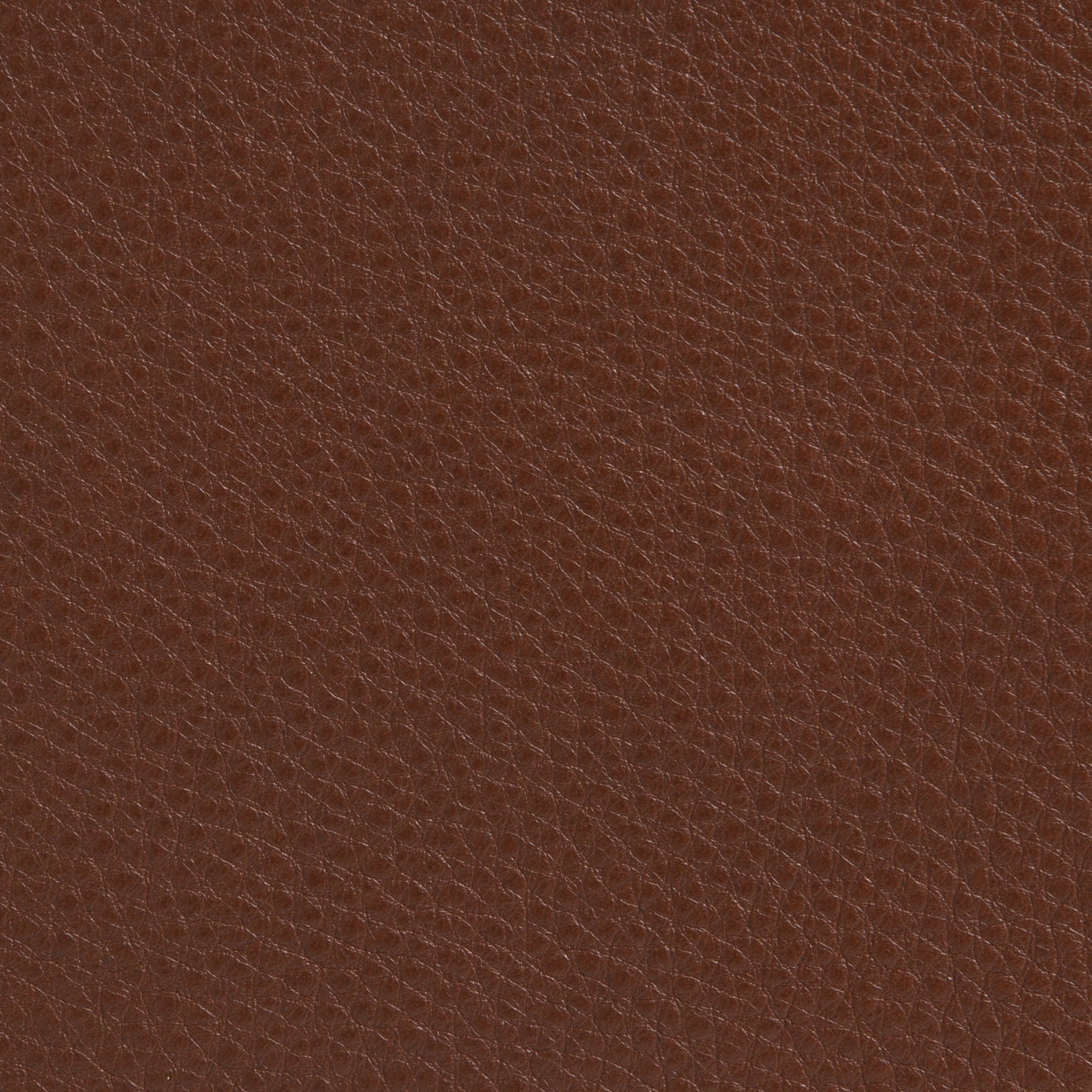 Elmobaltique 33037