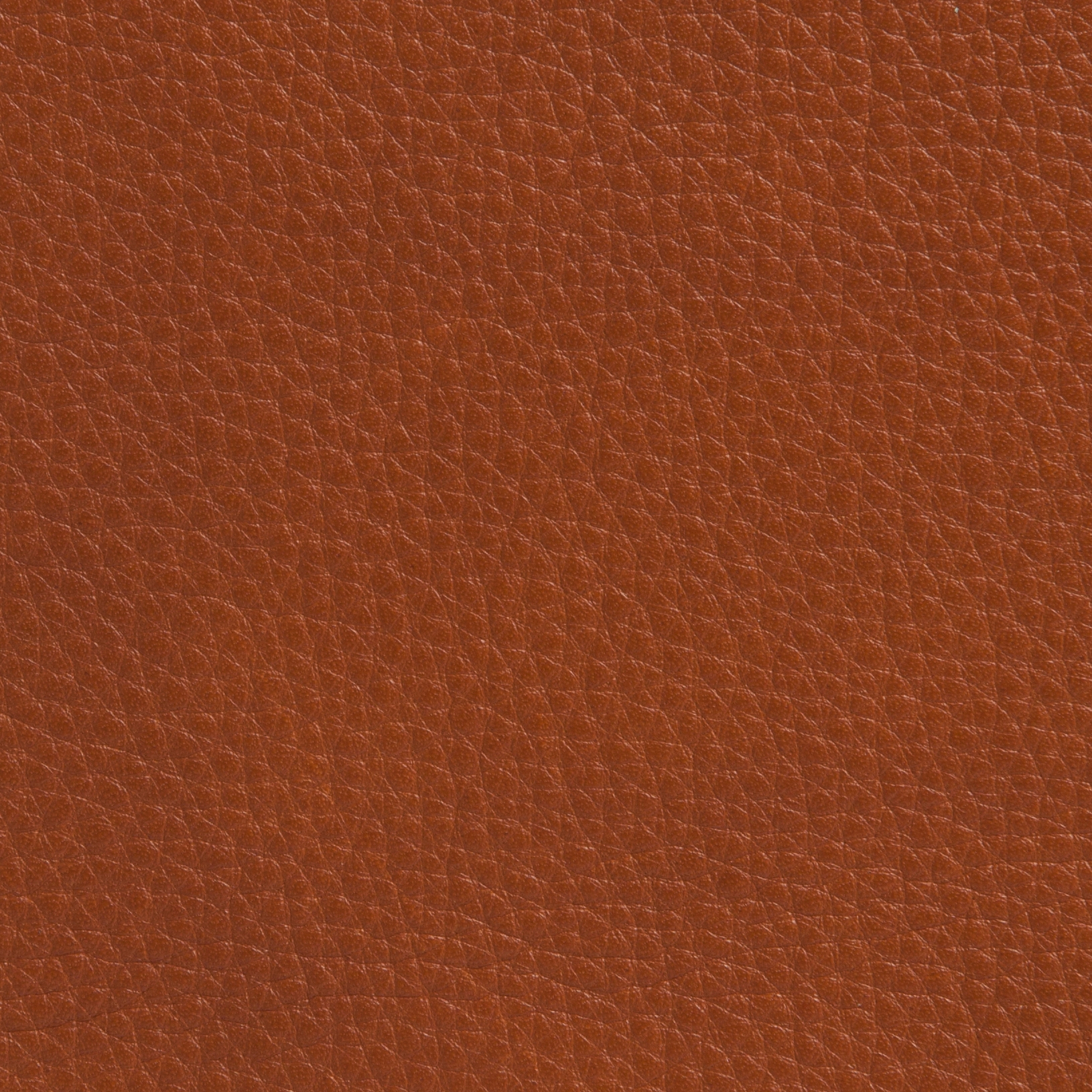 Elmobaltique 33280