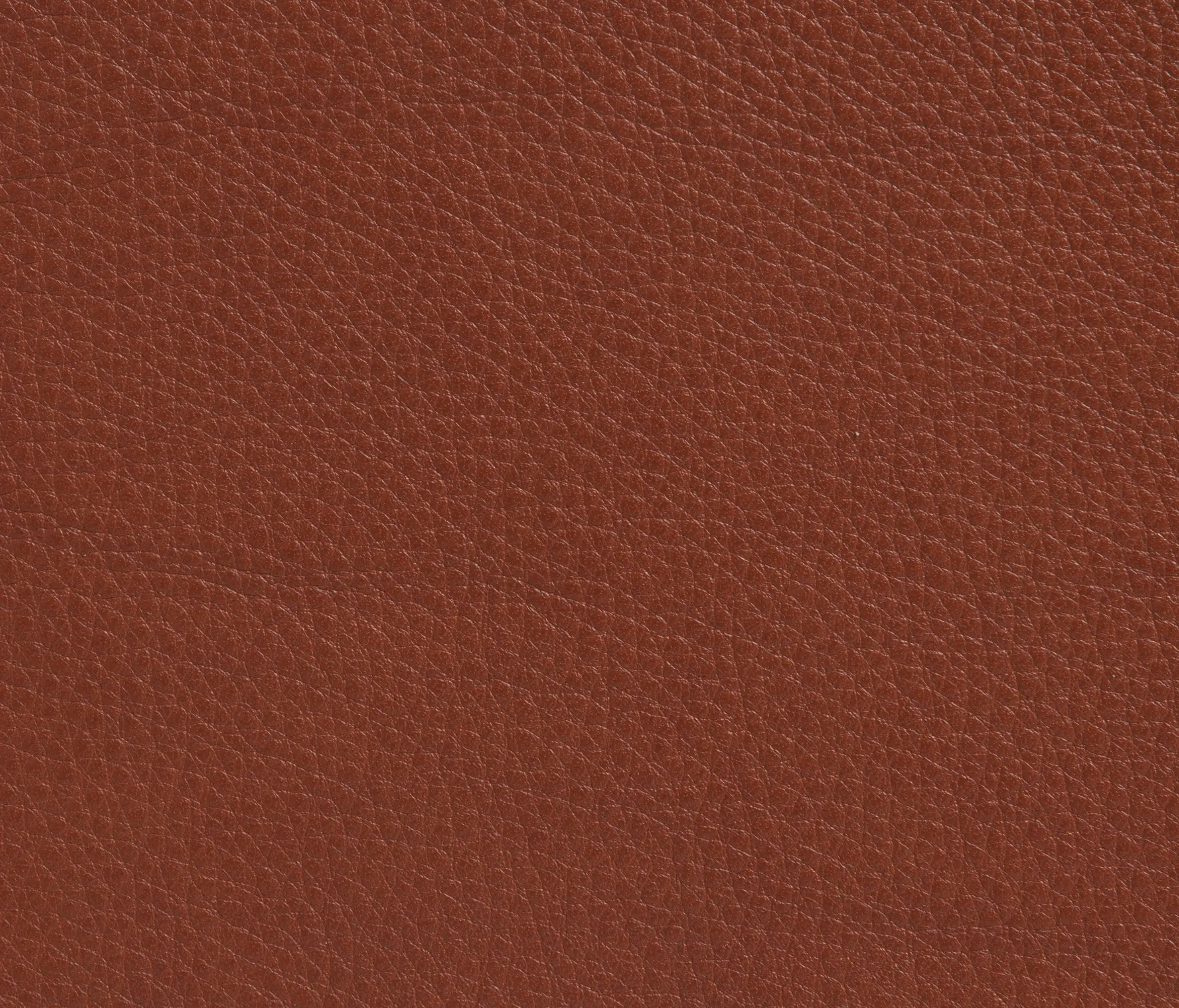 Elmo - Elmobaltique 33441