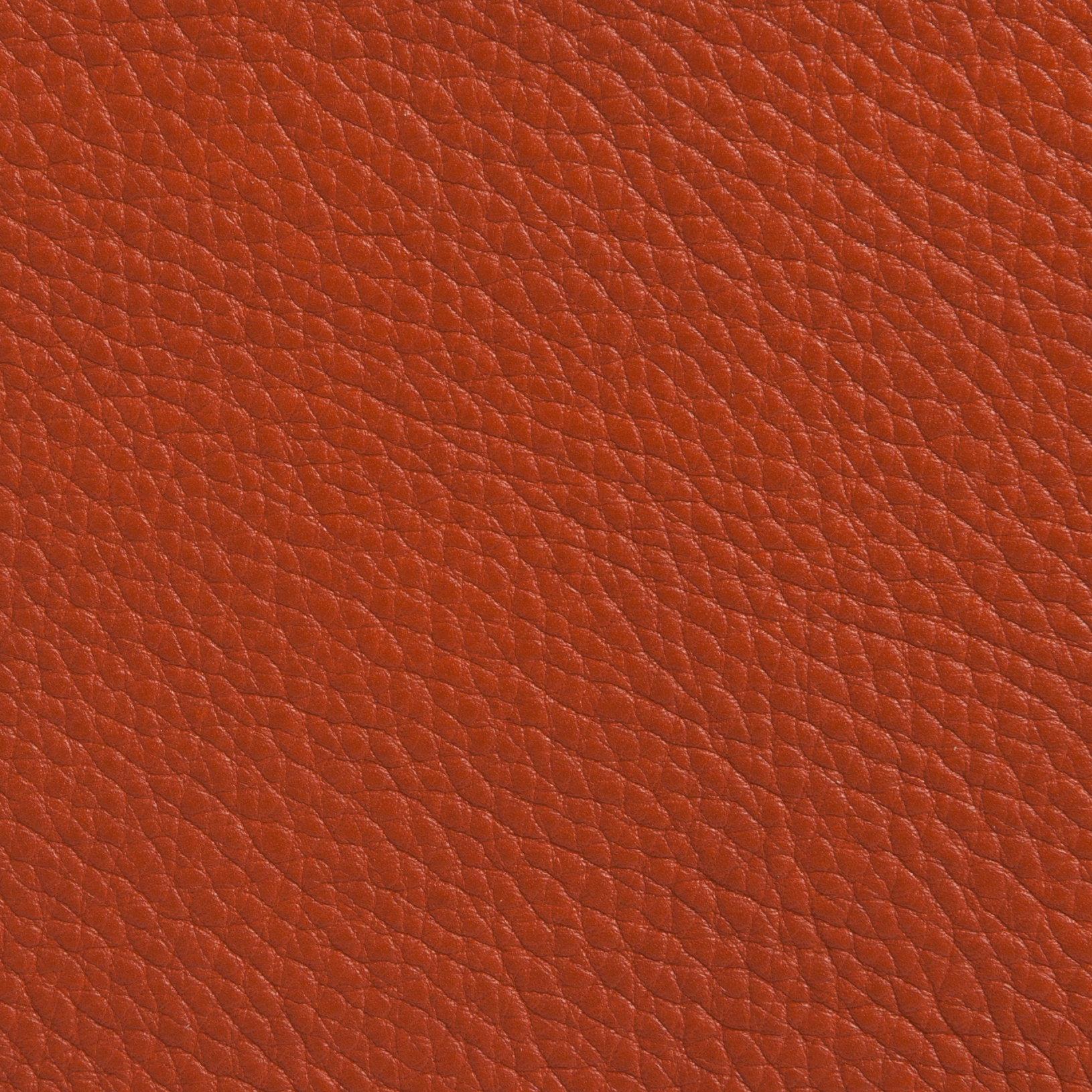Elmobaltique 53001