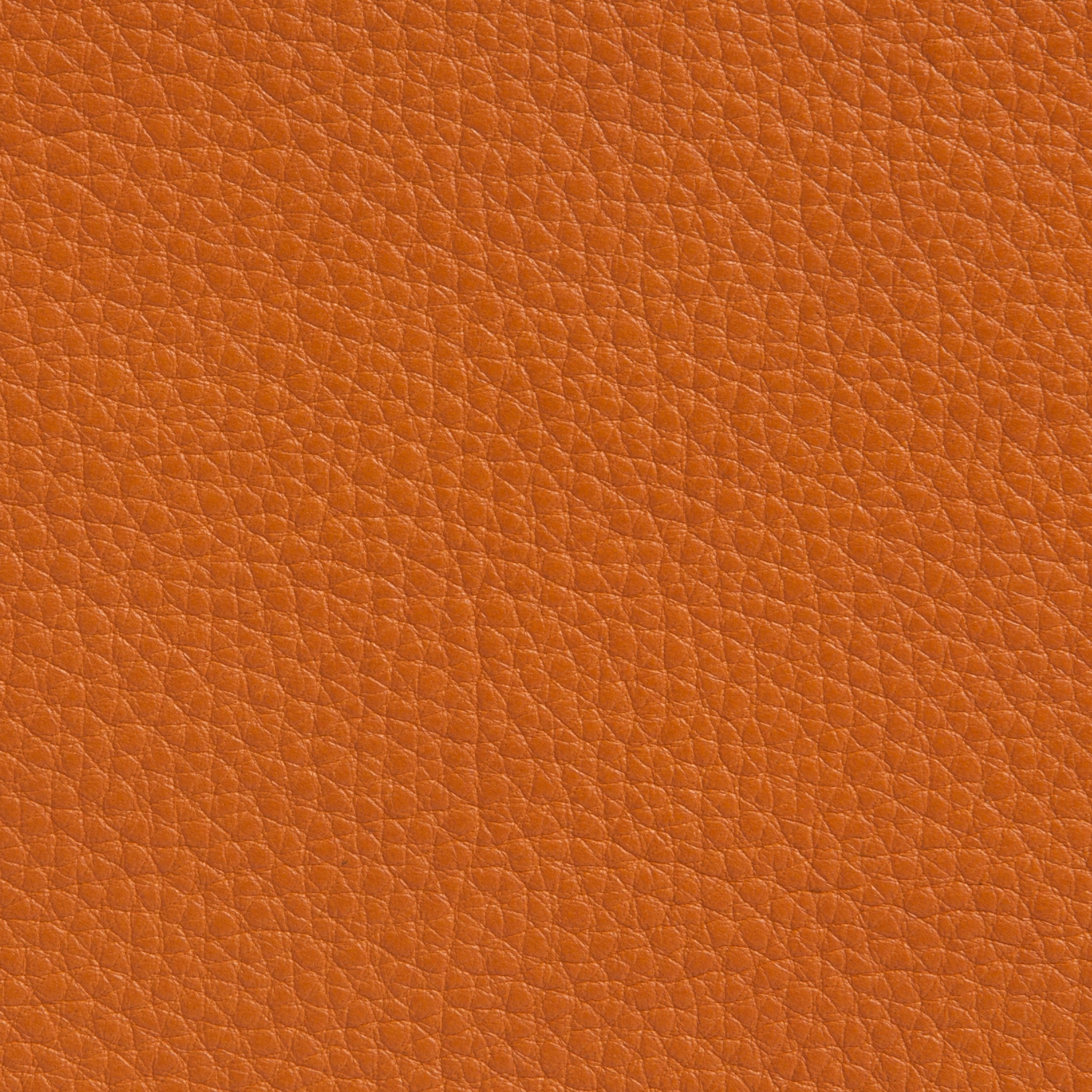 Elmobaltique 43003