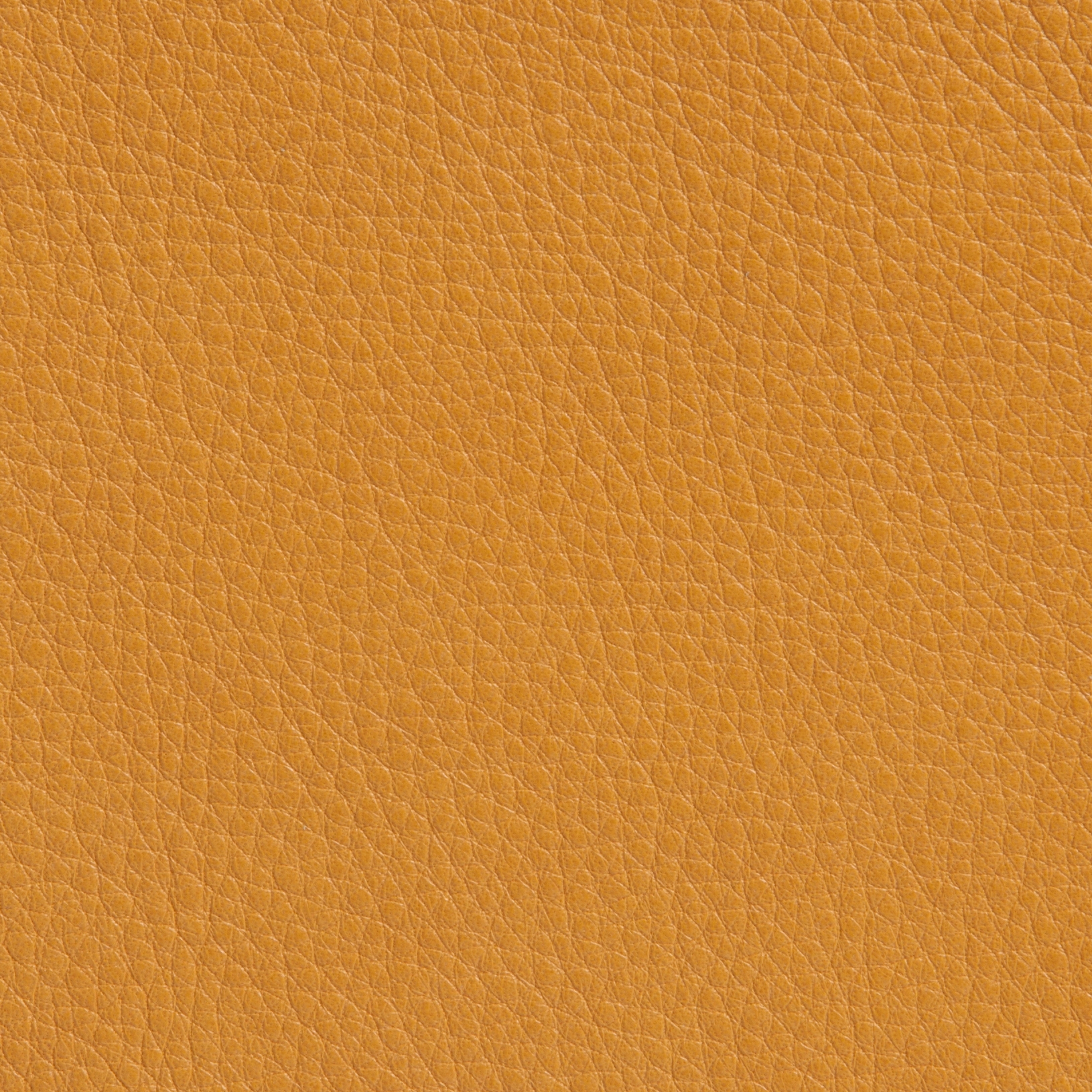 Elmobaltique 44038