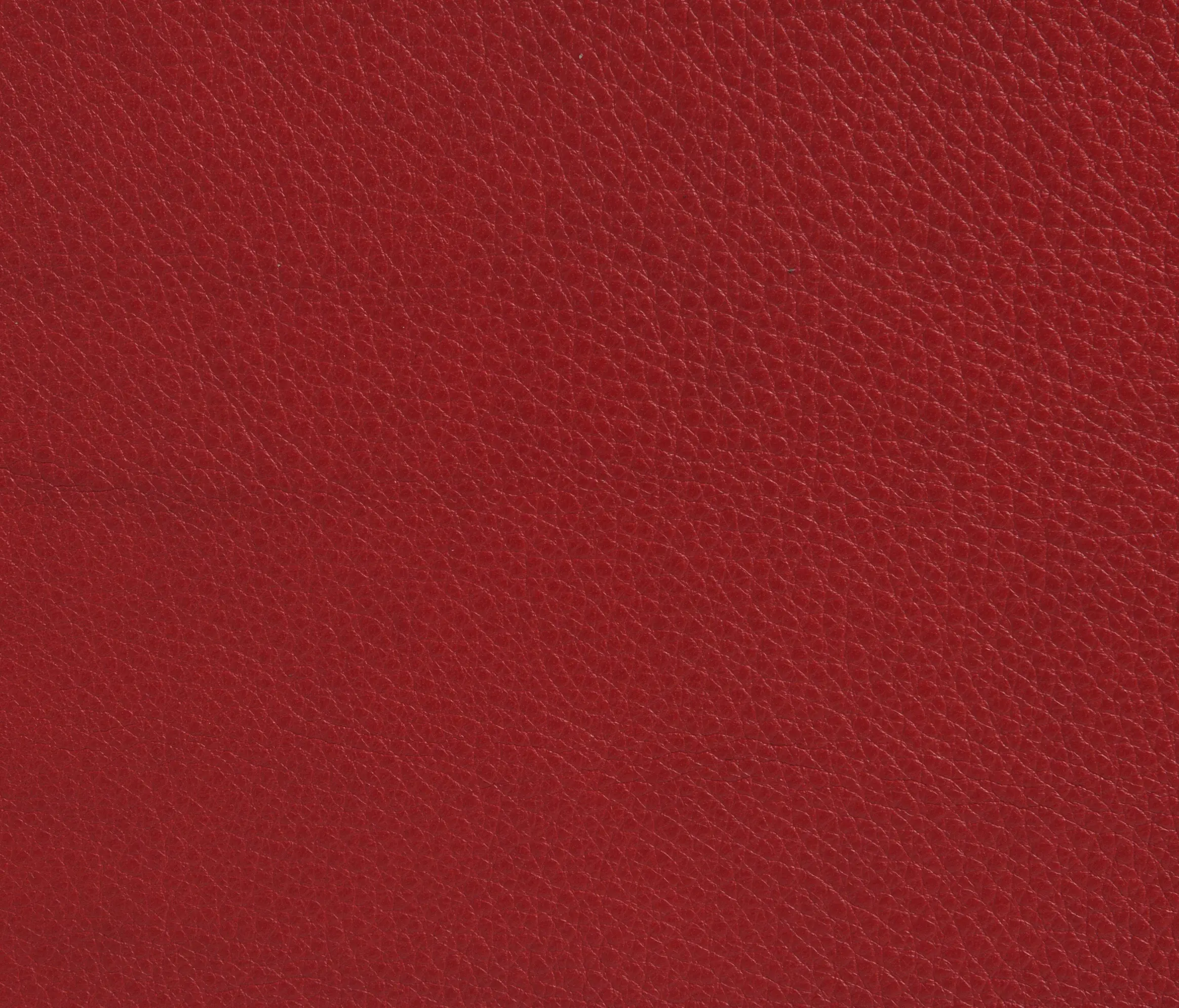 Elmo - Elmobaltique 55053