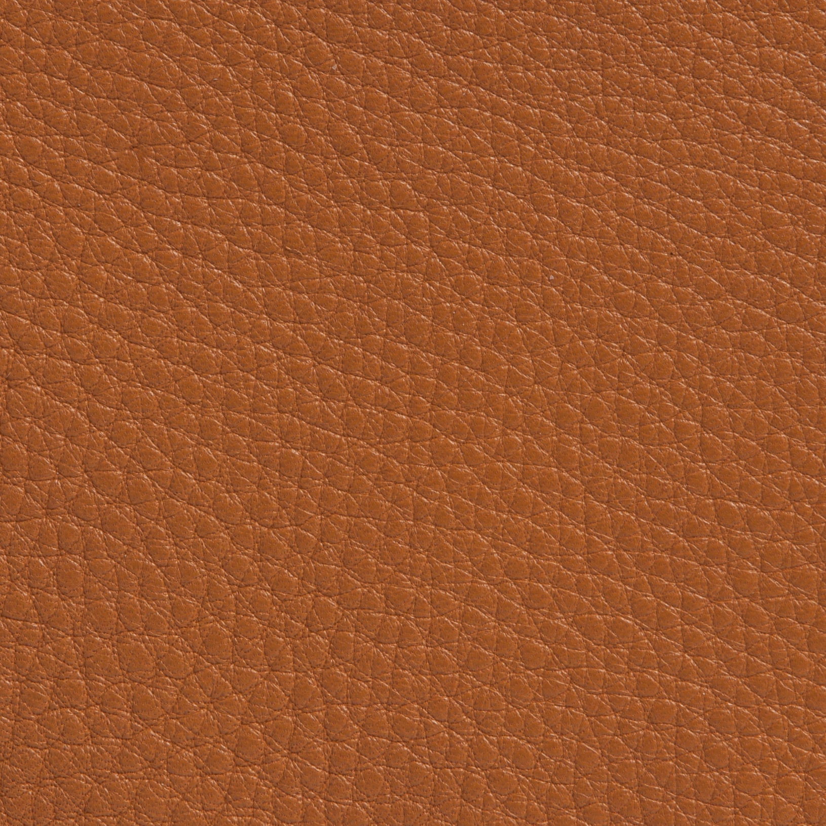 Elmogrand 43015