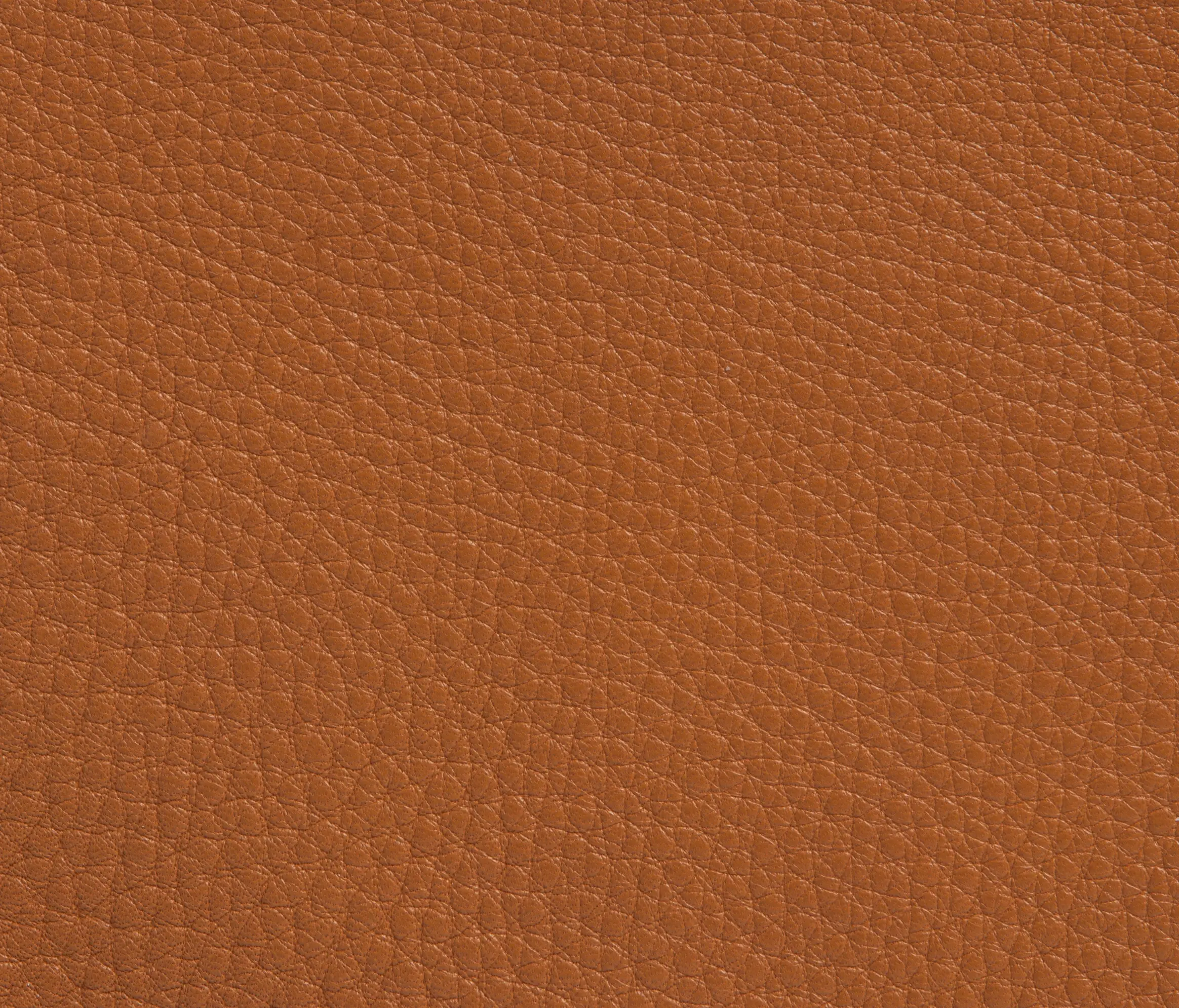 gallery-slide-0