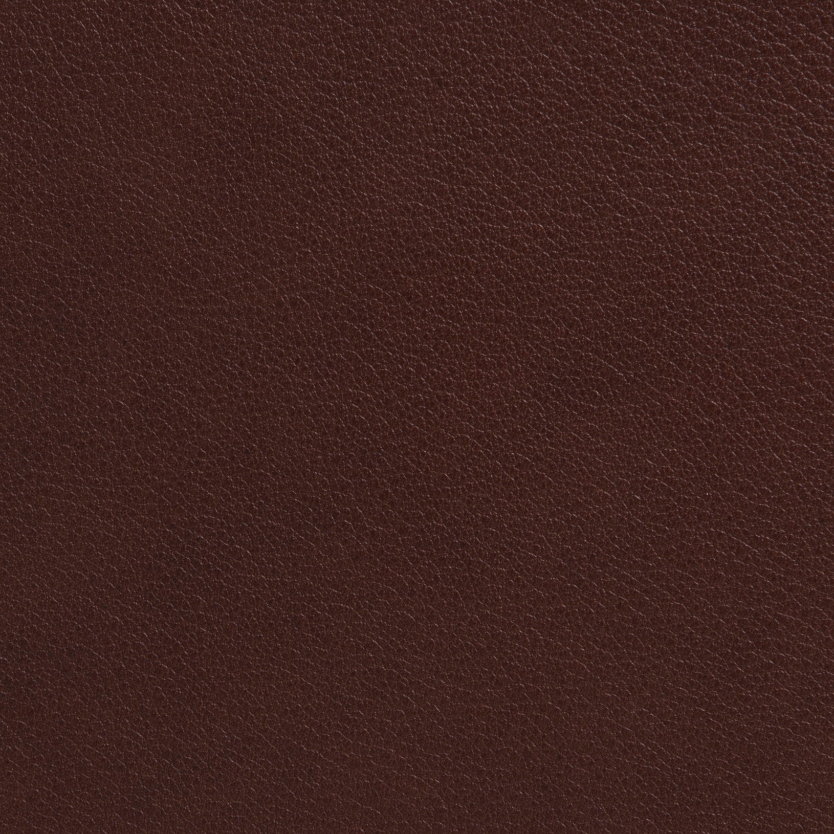 Elmotique 93957