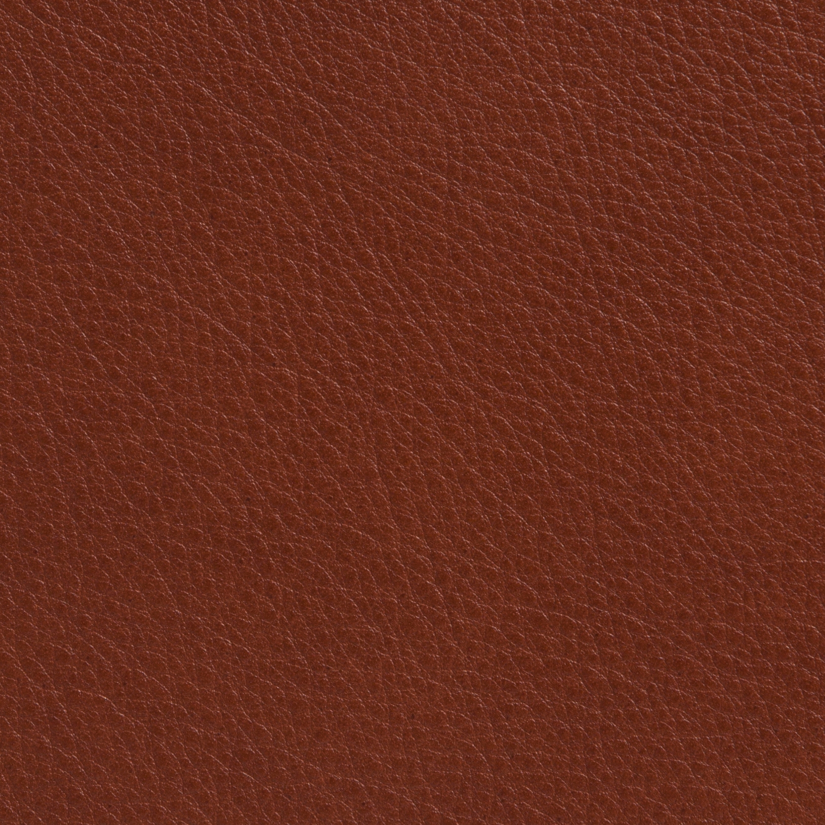 Elmotique 93718