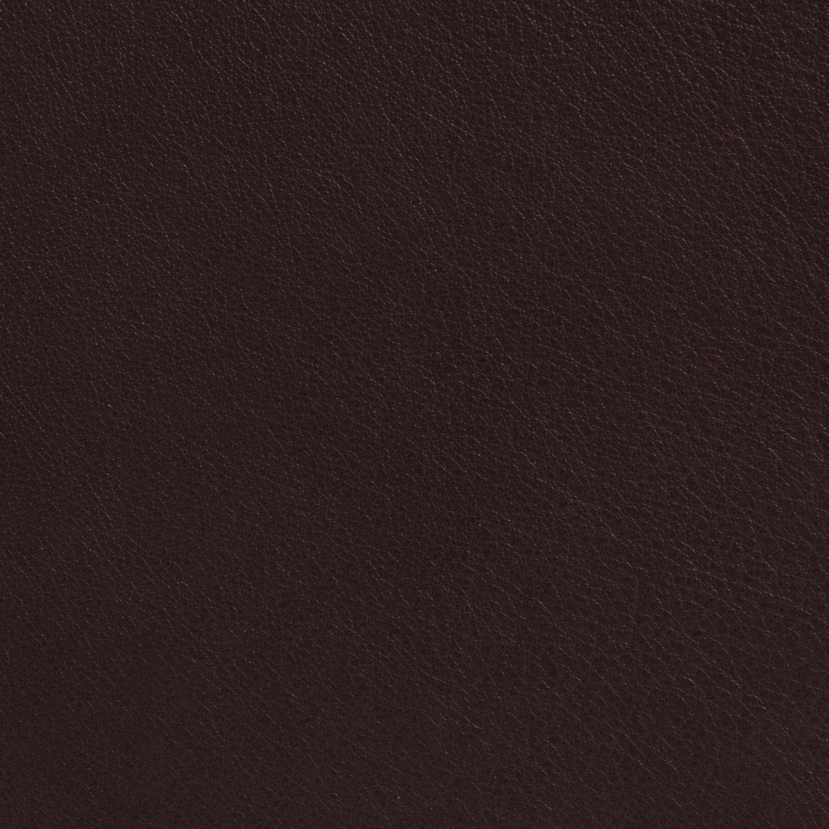 Elmotique 93021