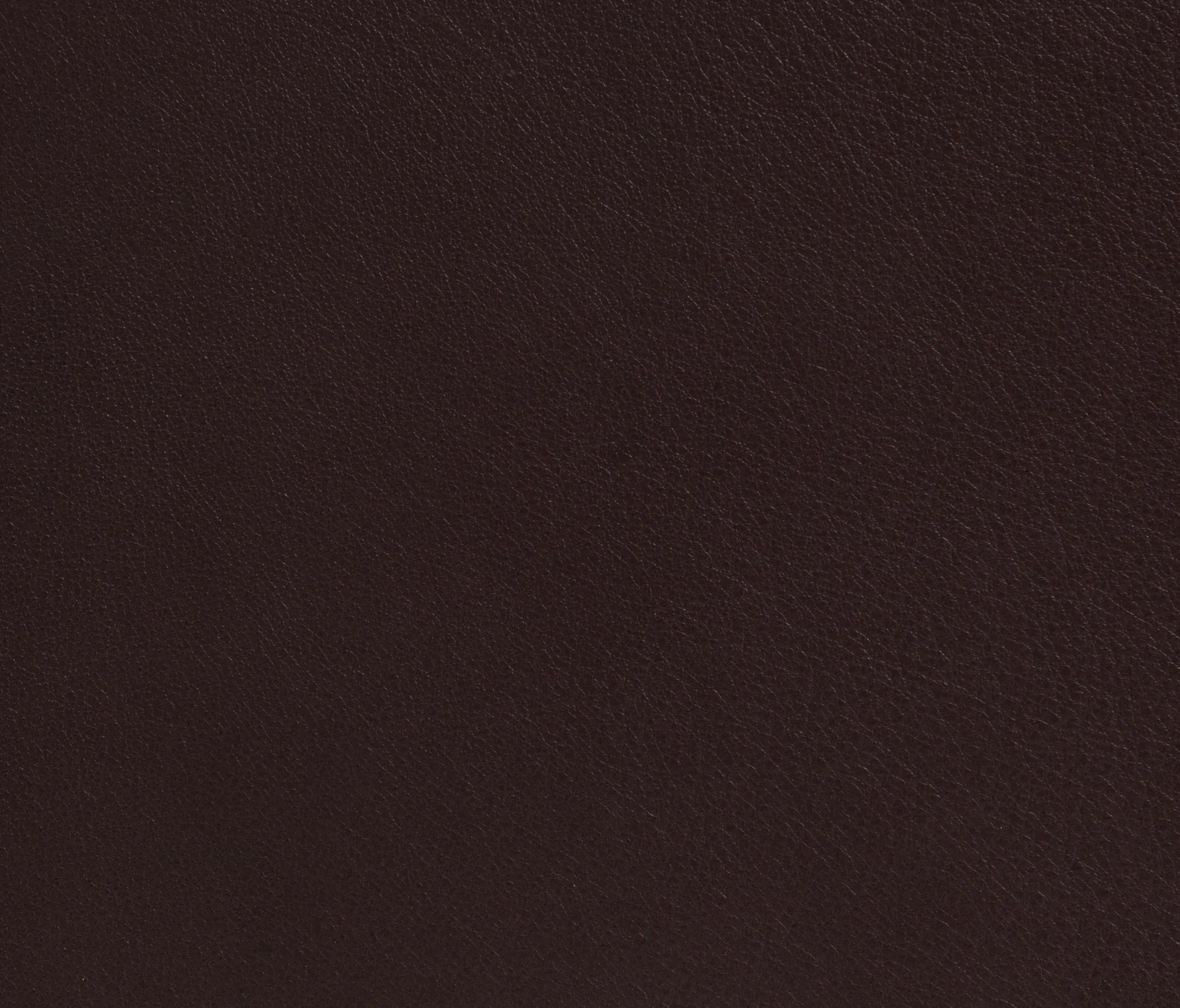 Elmo - Elmotique 93021