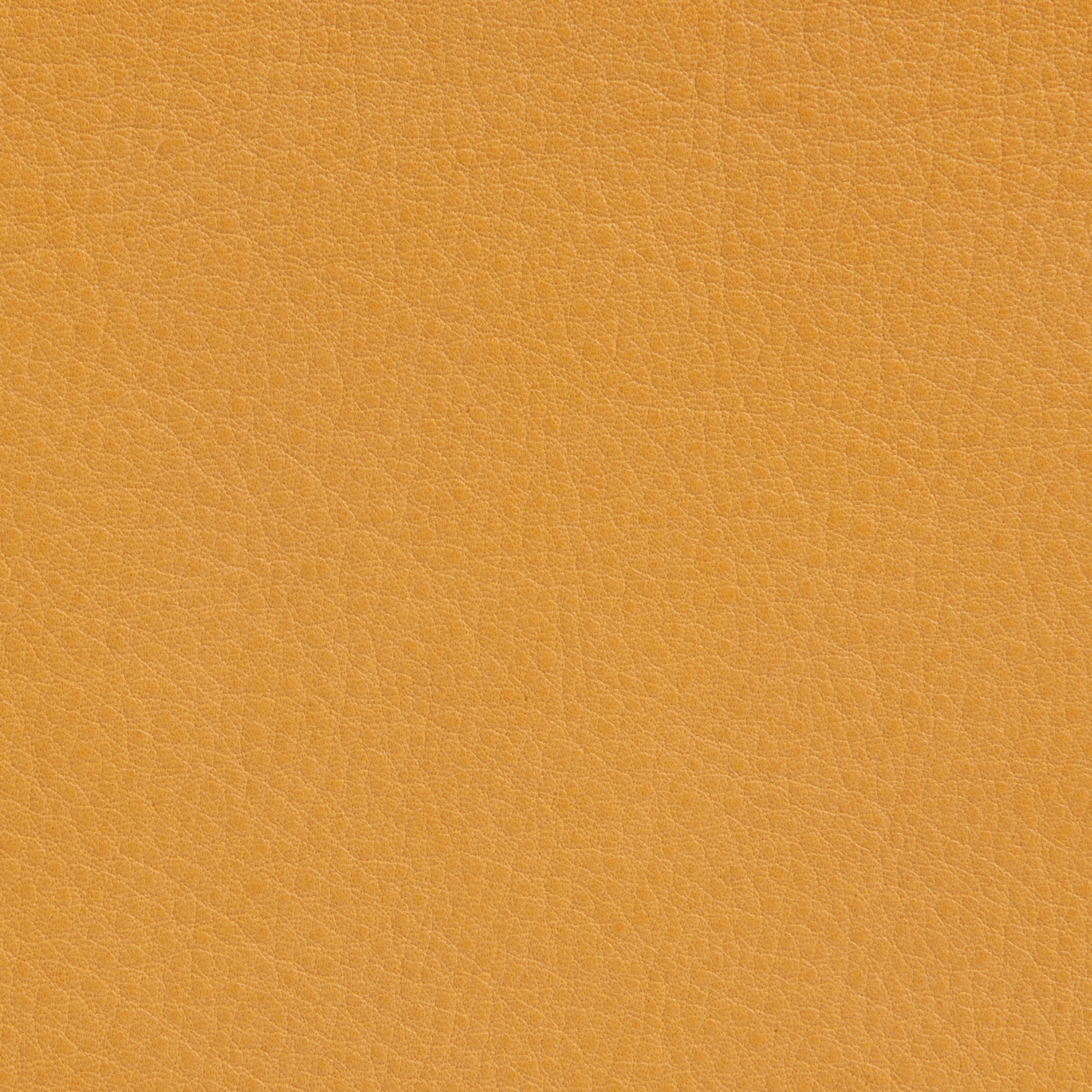 Elmotique 04010