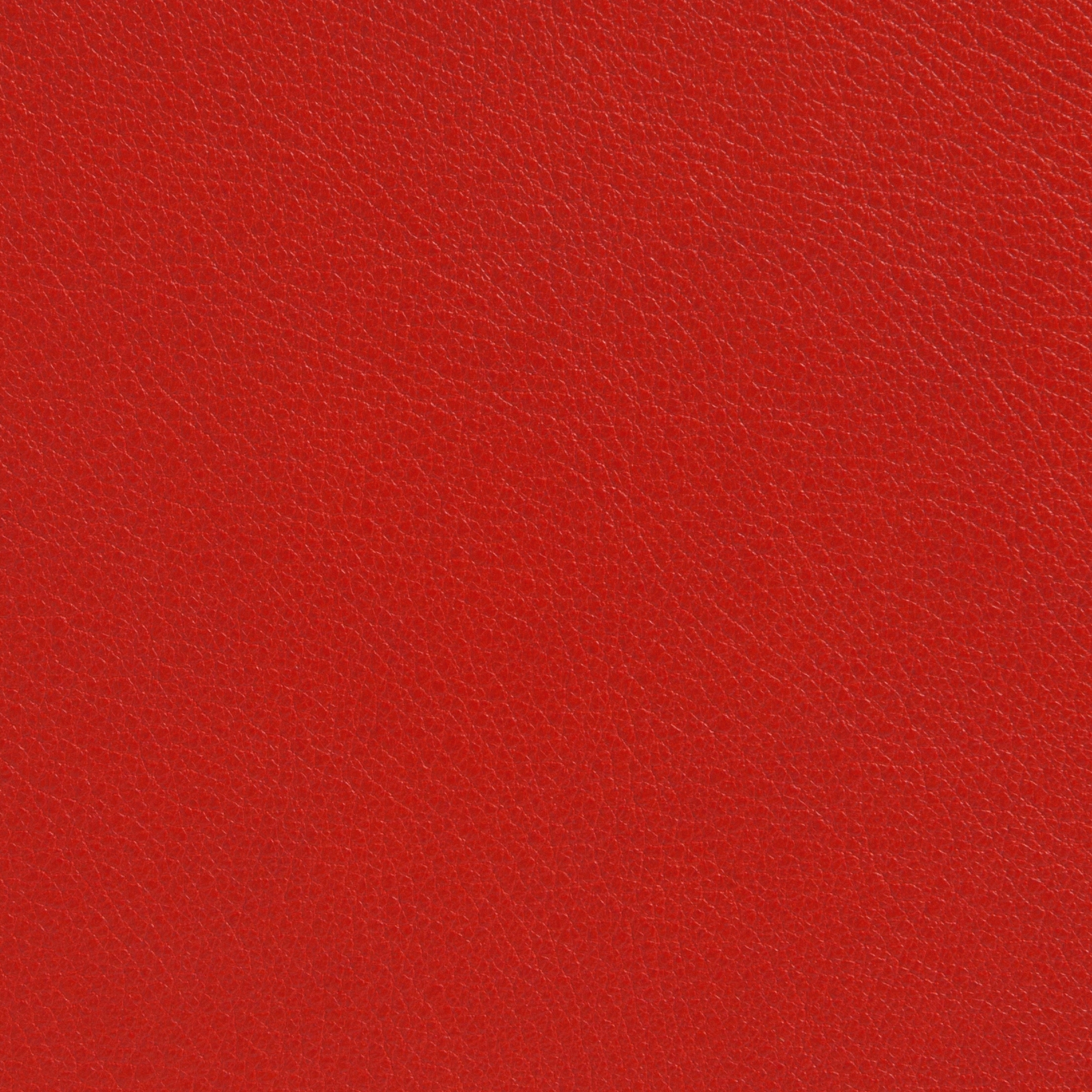 Elmotique 05025