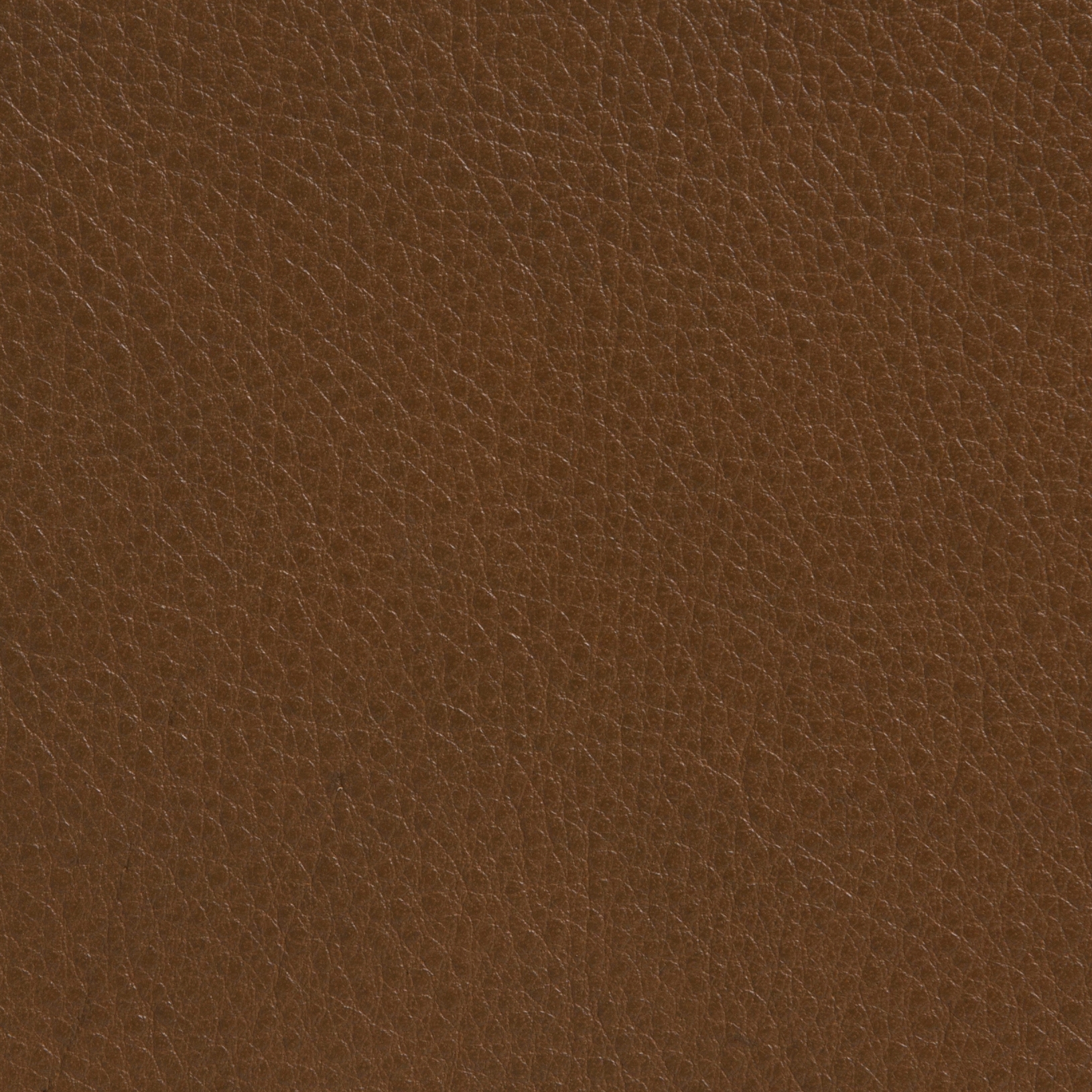 Elmotique 13033