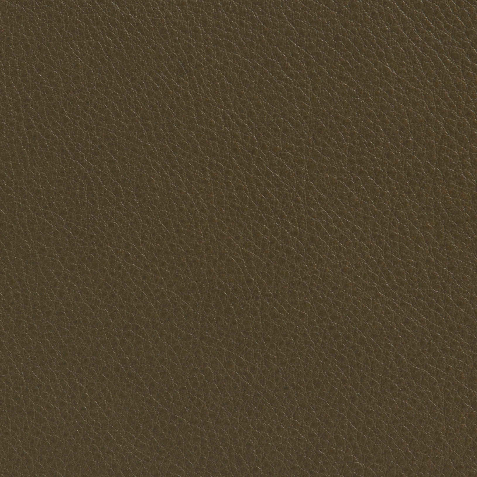 Elmotique 48027