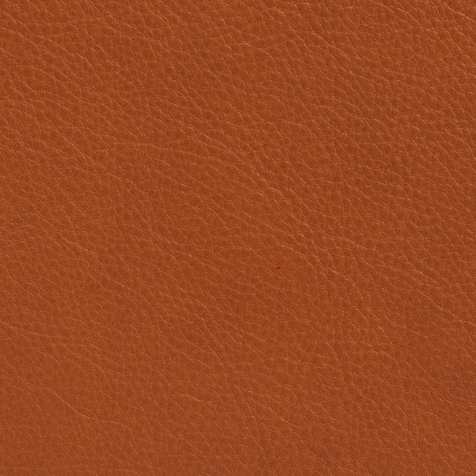 Elmotique 43807
