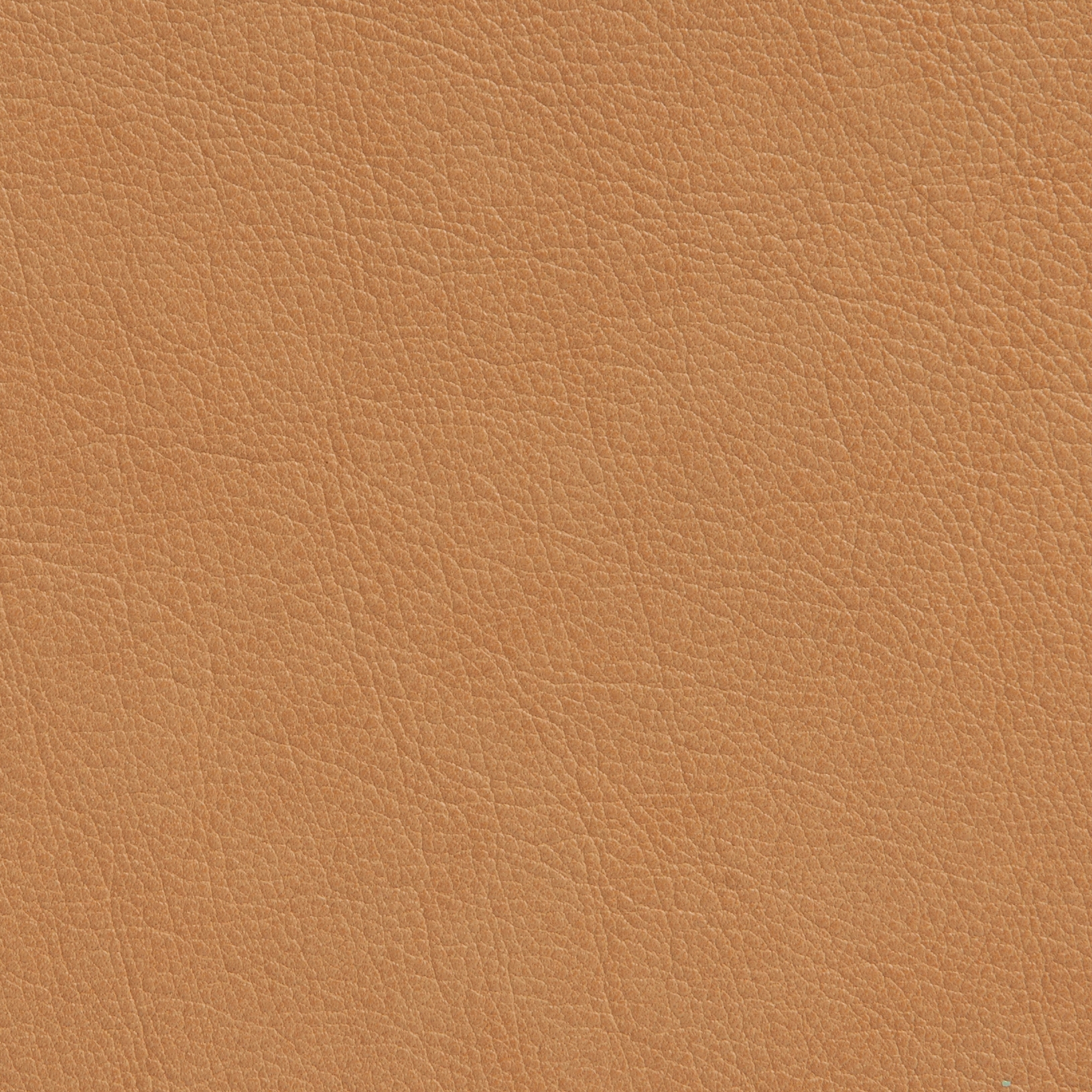 Elmotique 43024