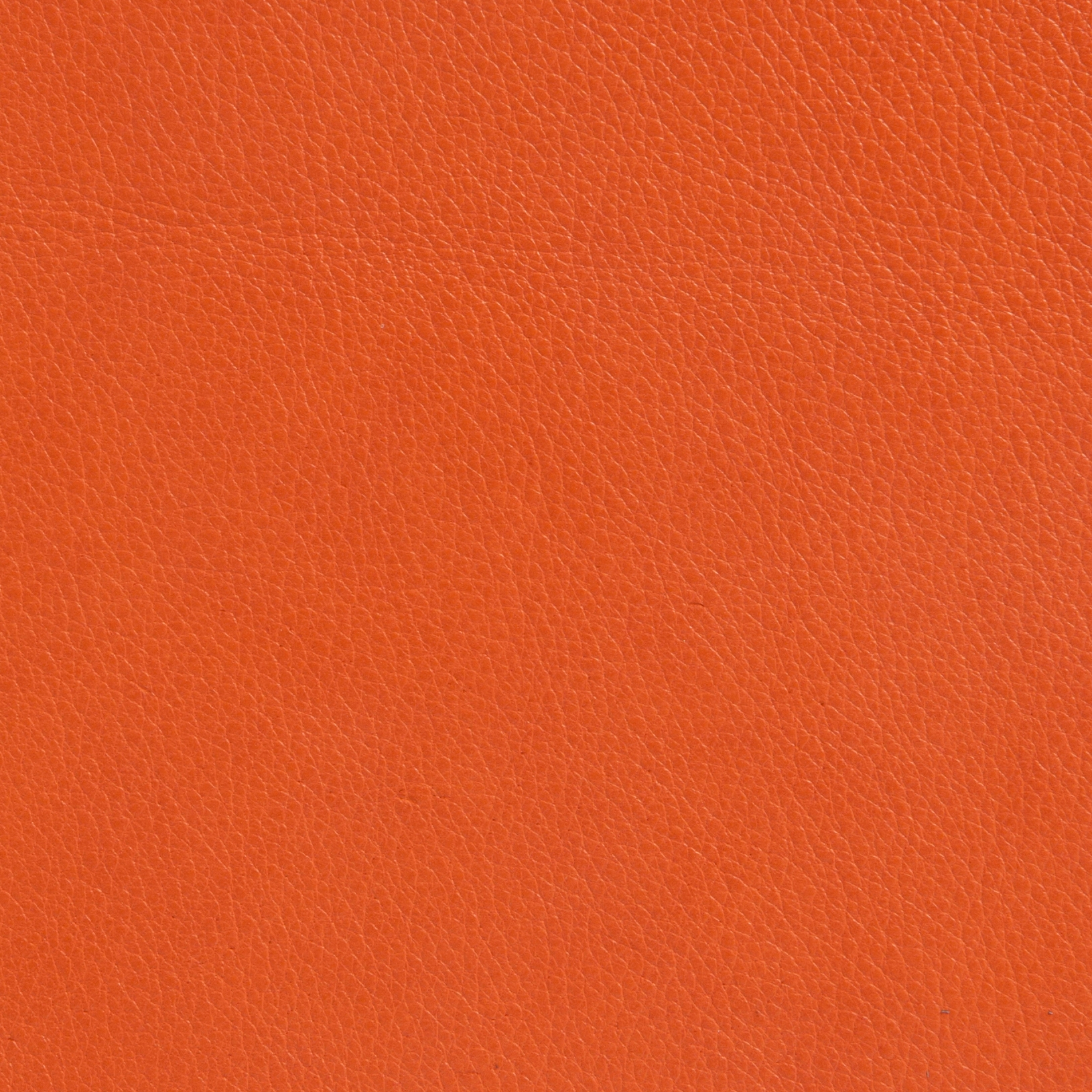 Elmotique 45011