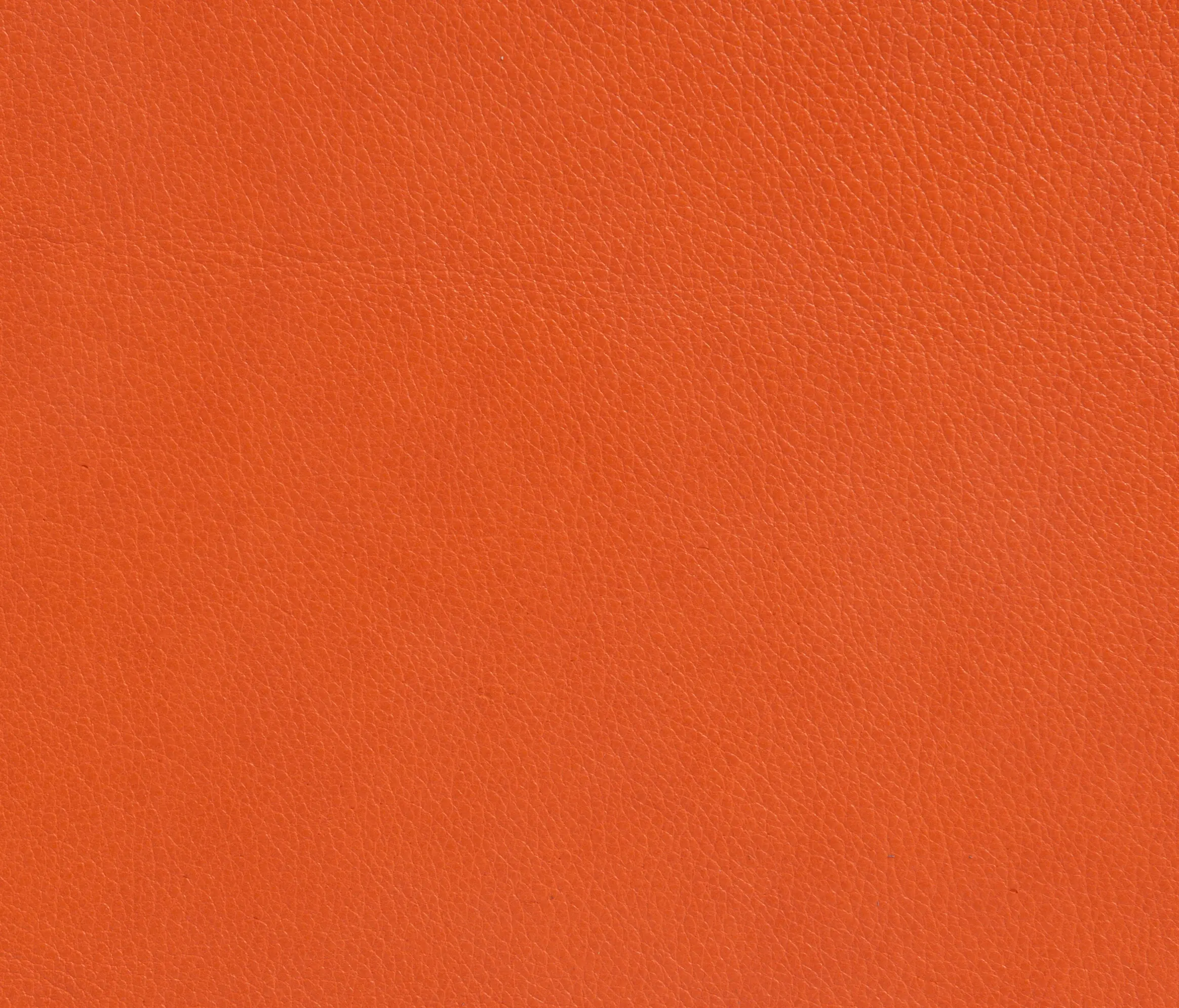 Elmo - Elmotique 45011