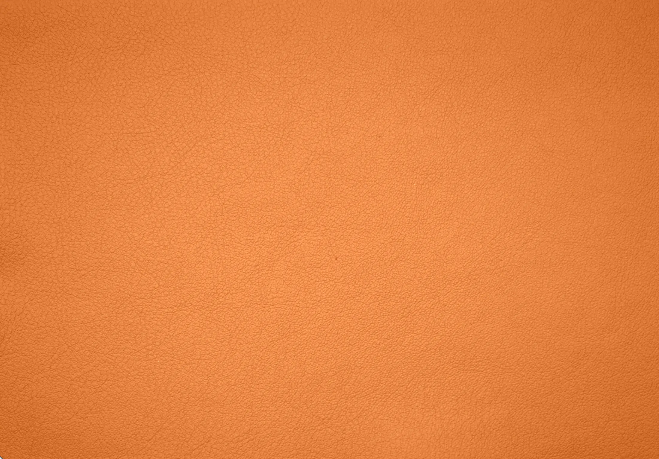 Elmo - Elmosoft 45050