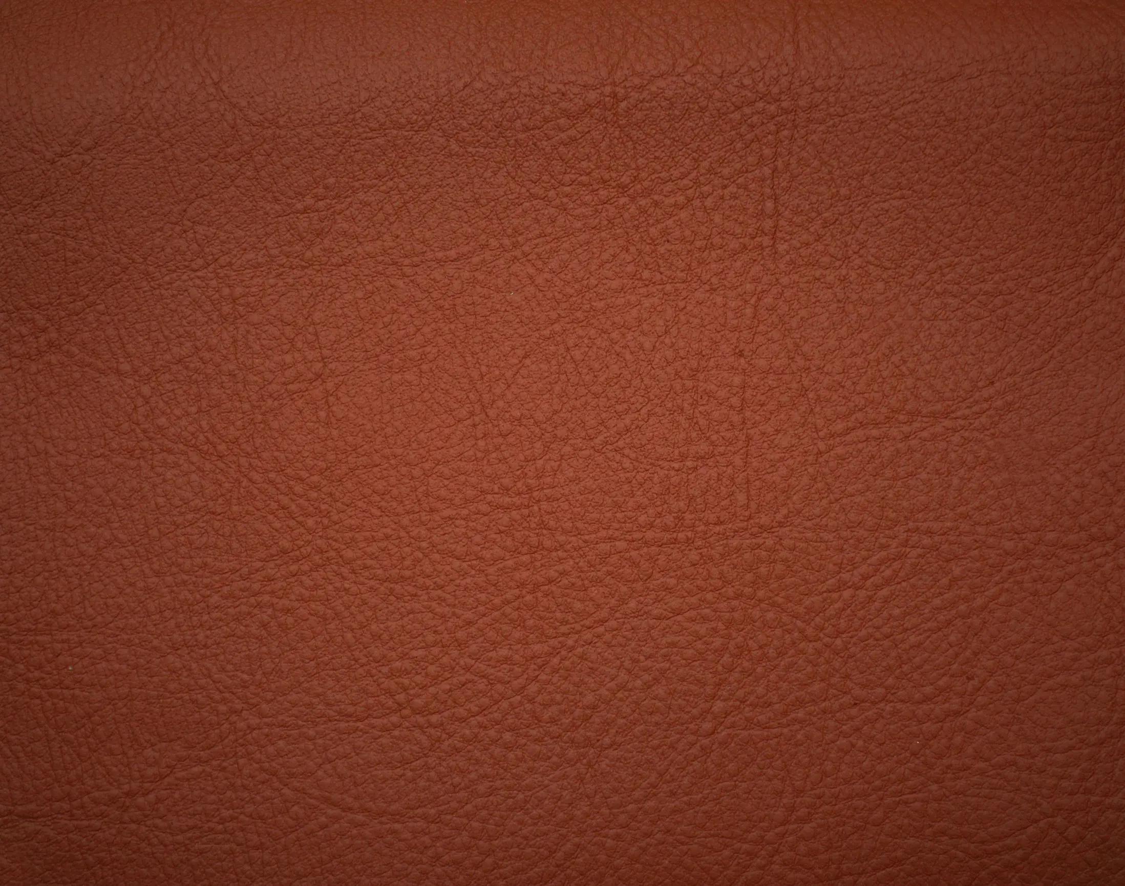 Elmo - Elmosoft 53032