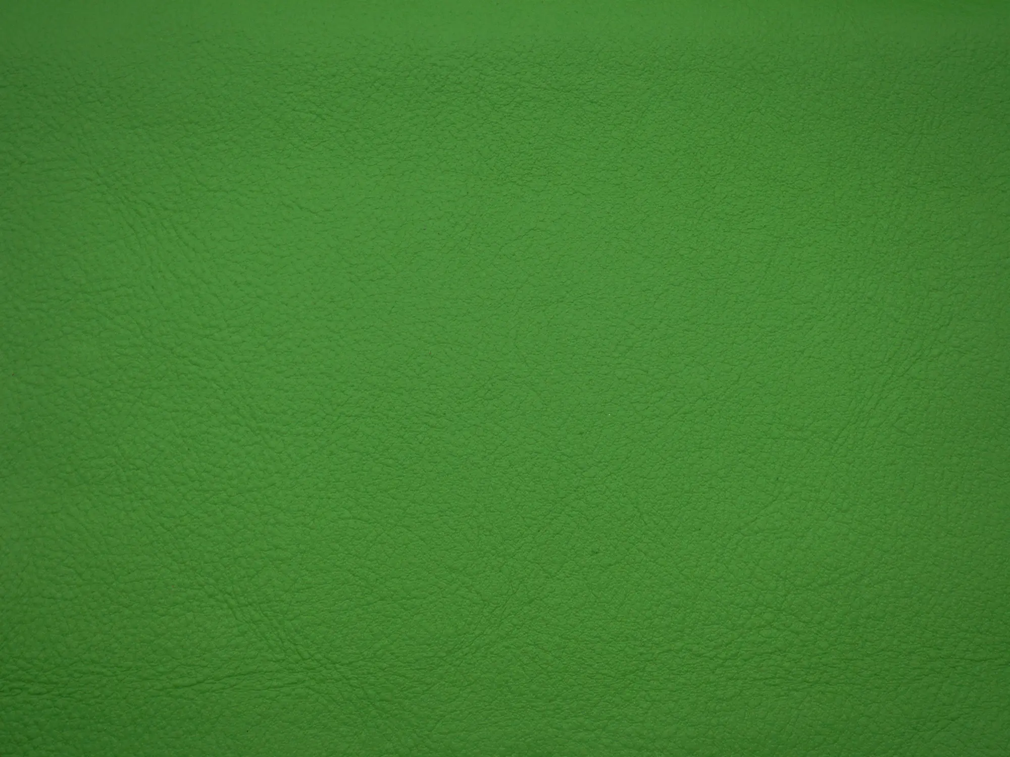 Elmo - Elmosoft 88033