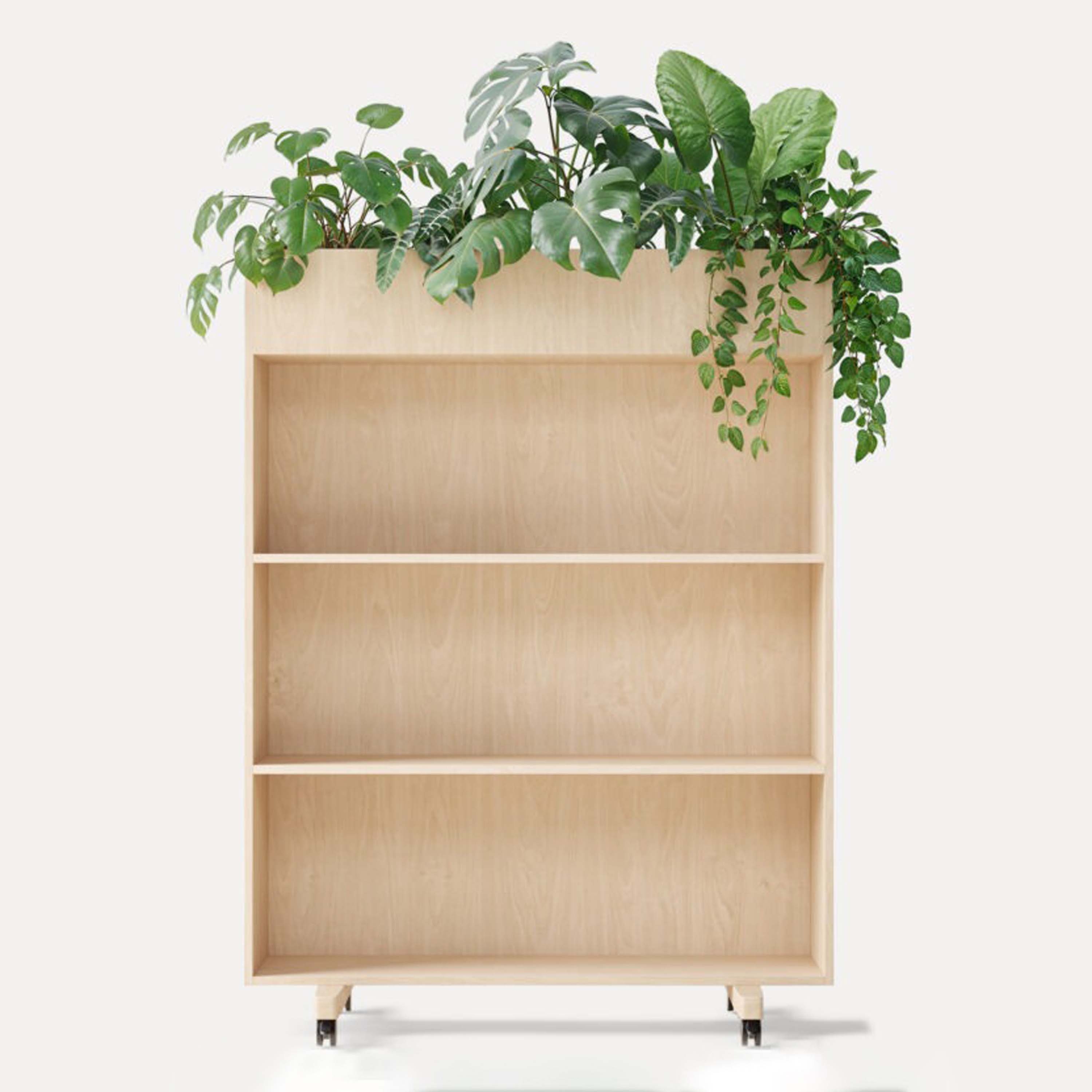 Produkt Zorla Shelf | Bodentrennwand mit Pflanzen des Herstellers Zilenzio anzeigen