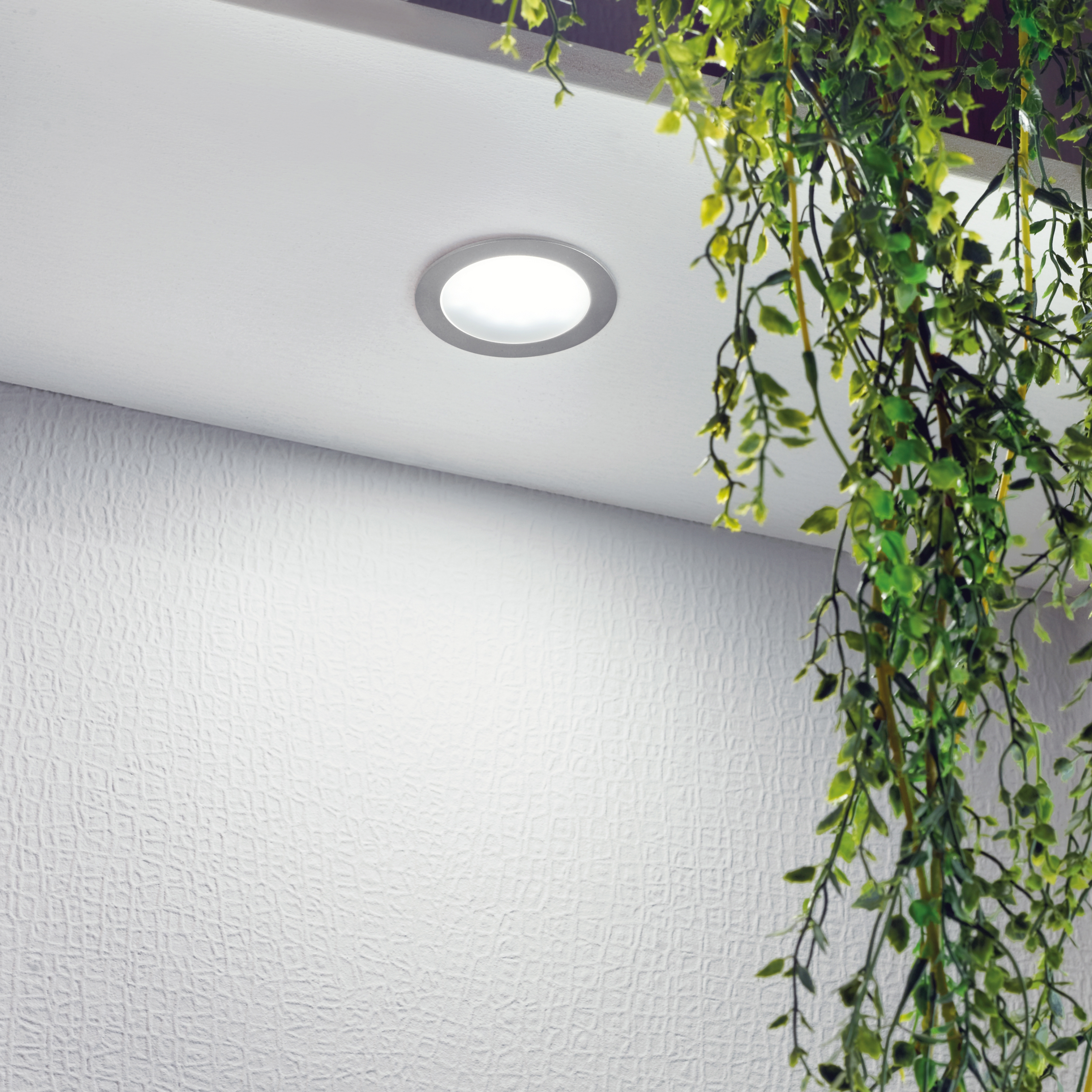 Produkt FR 68- / FR 78- / FQ 68-LED des Herstellers Hera anzeigen