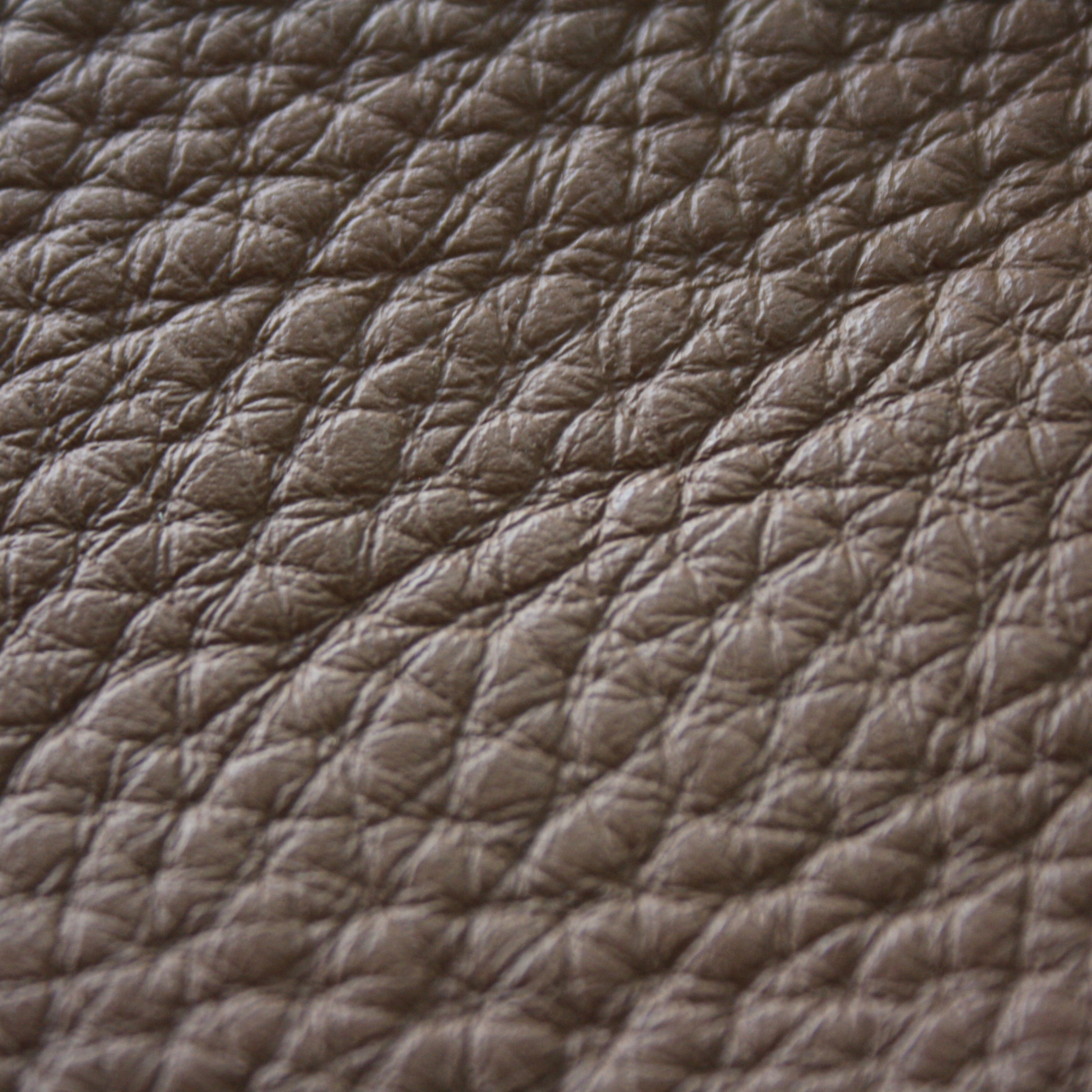 Leather Club