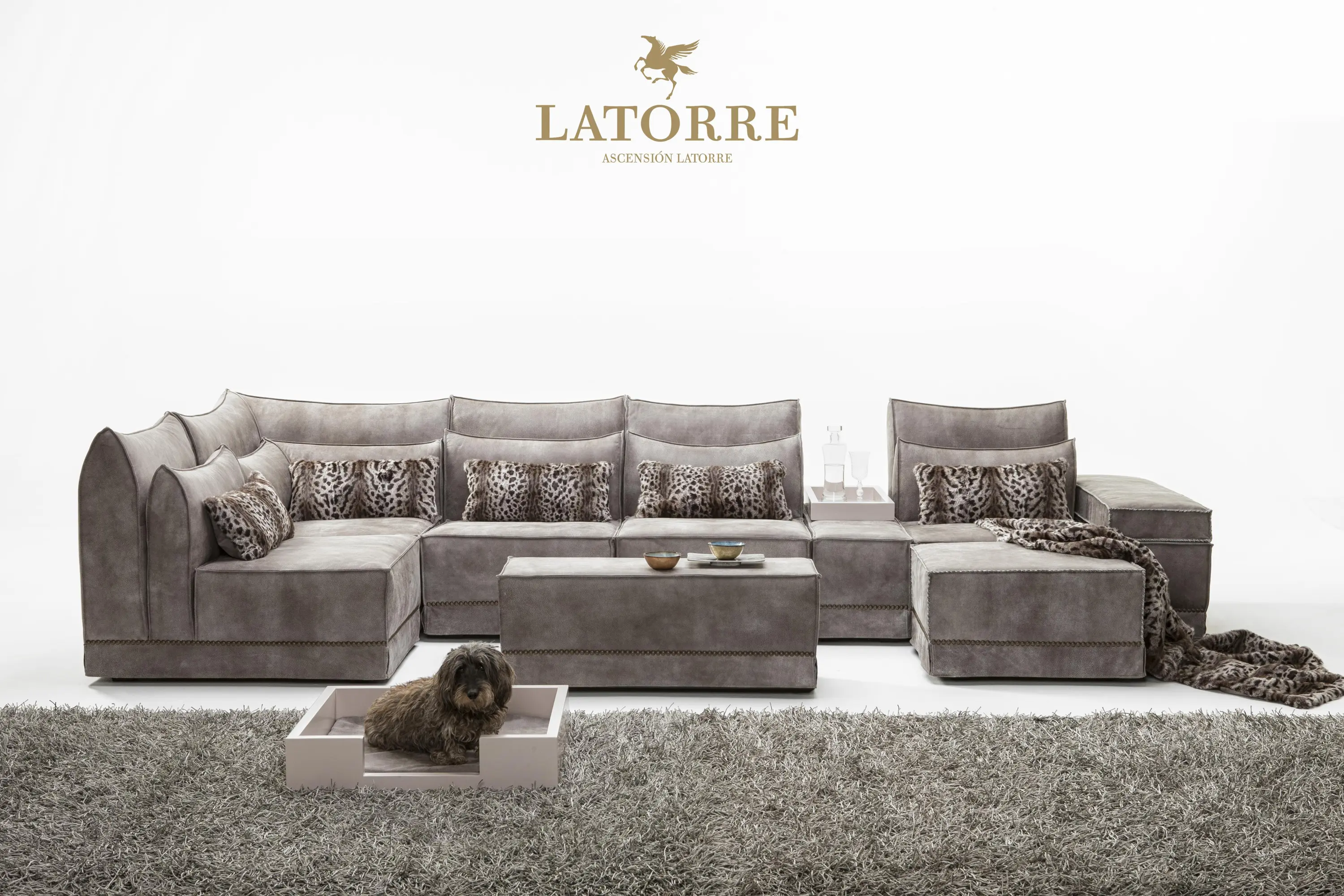 Ascensión Latorre - Chukka Modular