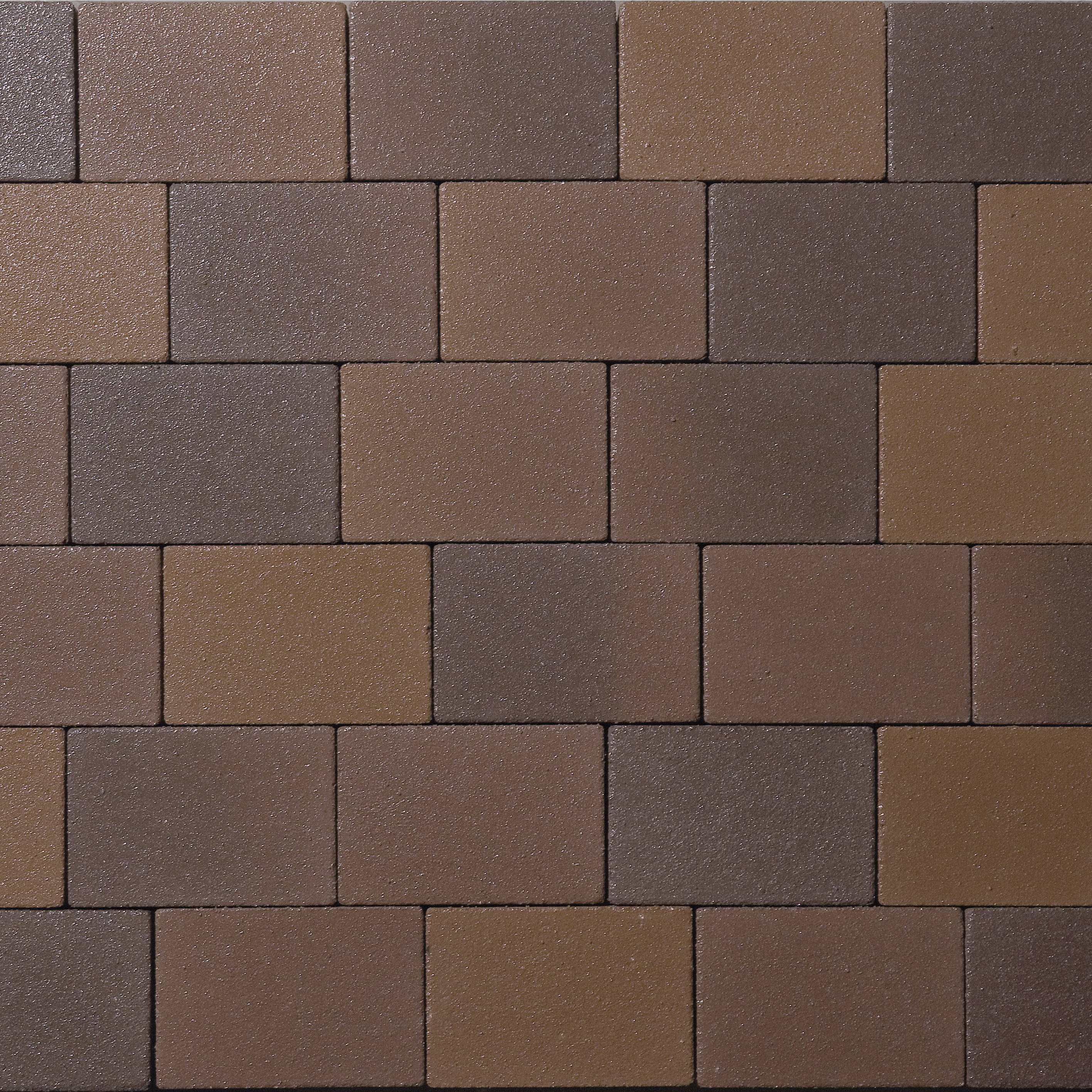Belpasso Premio Castano brillant, shading