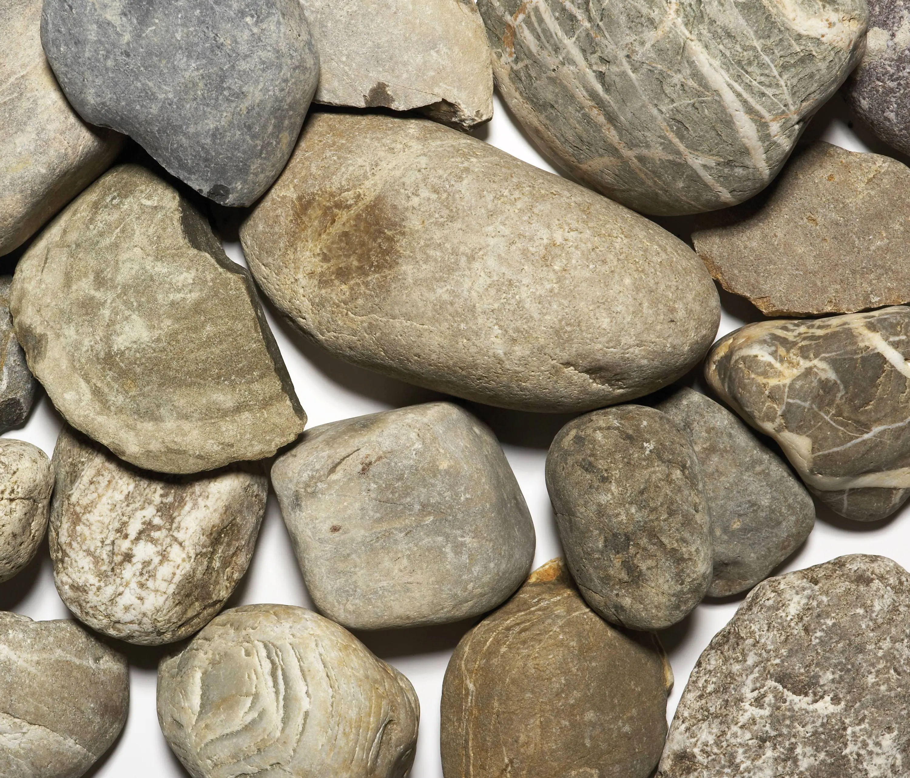Metten - Zierkies | Splitte, Alpine Moräne