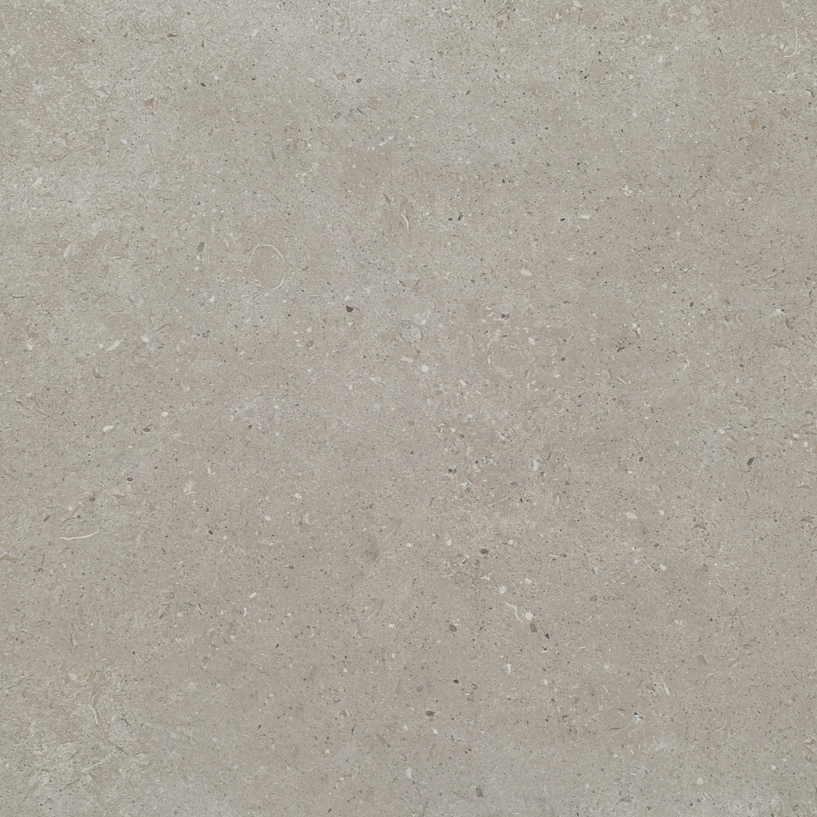 Afficher le produit Lithocera Muschelkalk, Beige-Grau du fabricant Metten