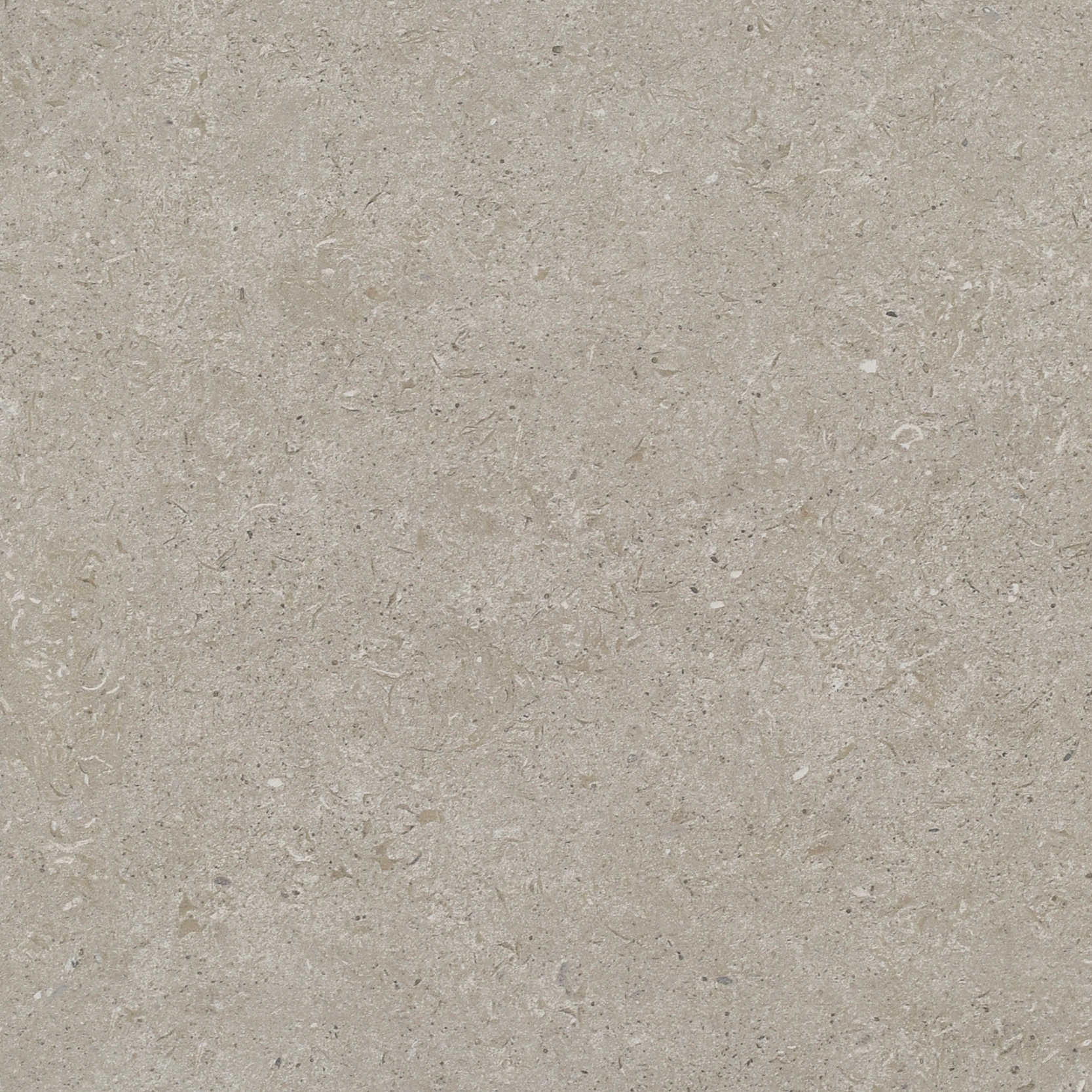 Afficher le produit Lithocera XXL-Format, Muschelkalk Beige-Braun du fabricant Metten