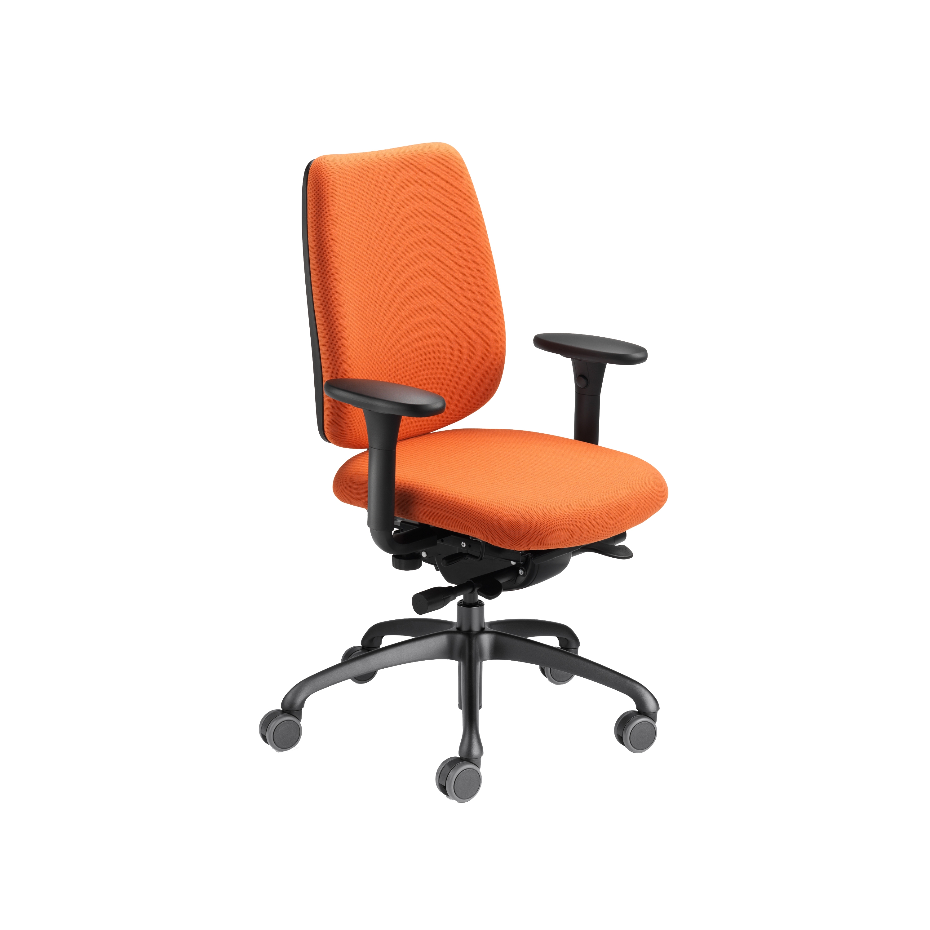 Display product FIGO from manufacturer LÖFFLER