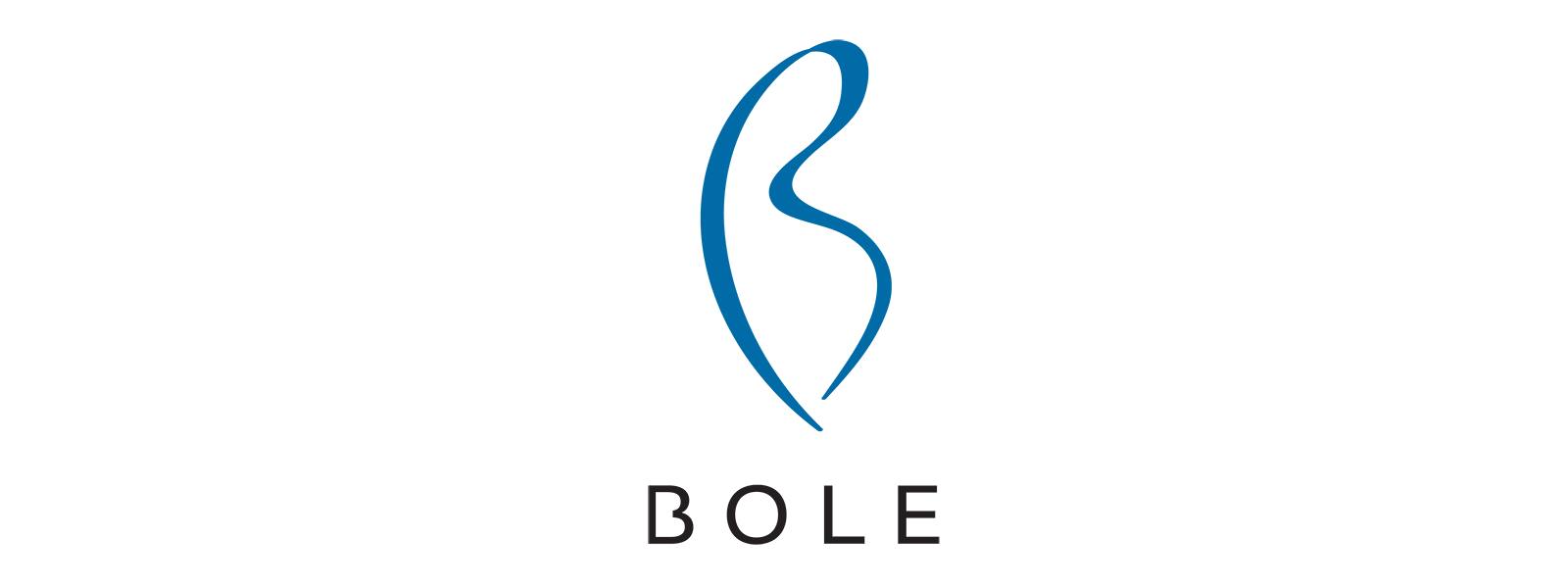 Logo for manufacturer Bole