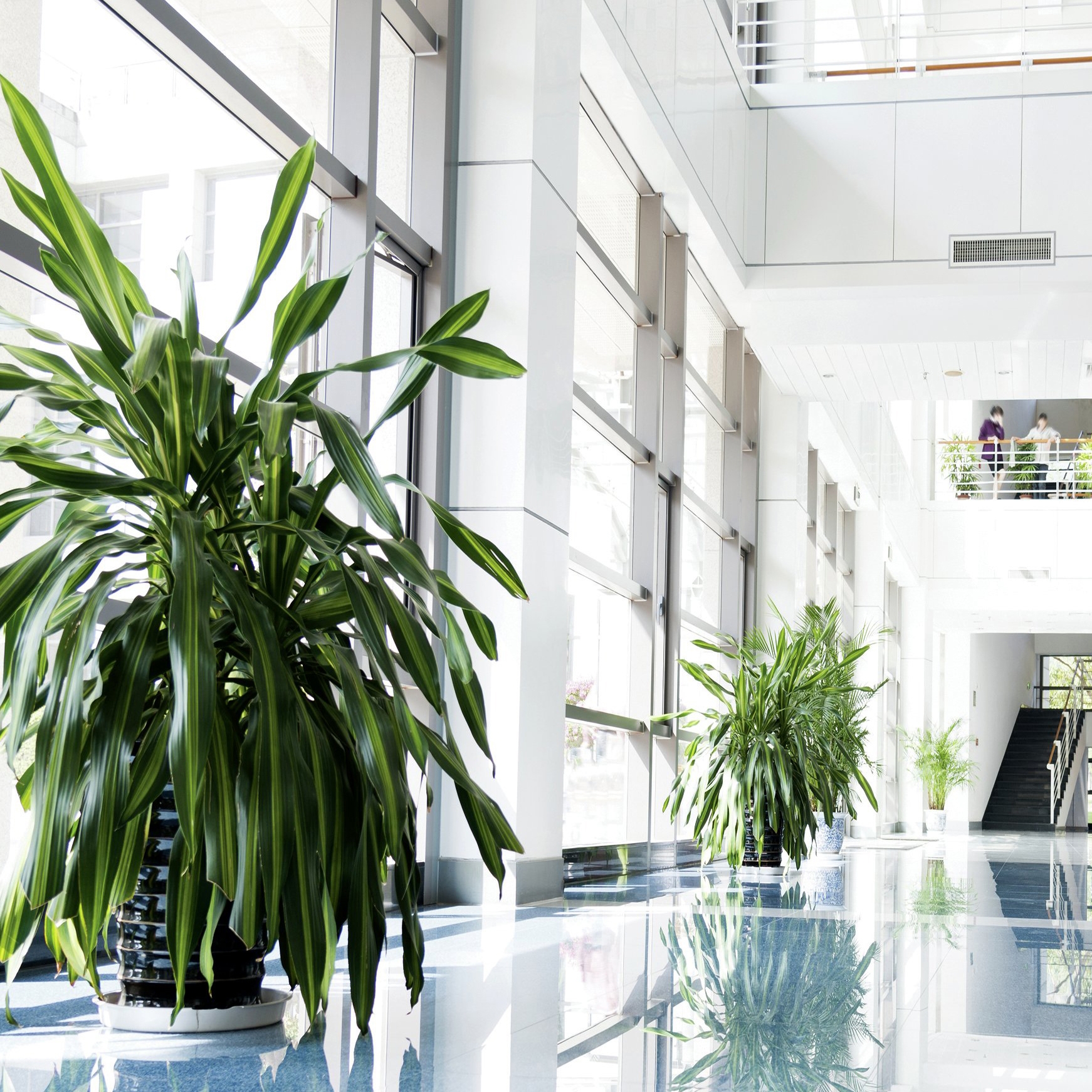 3M™ Sun Control Window Film